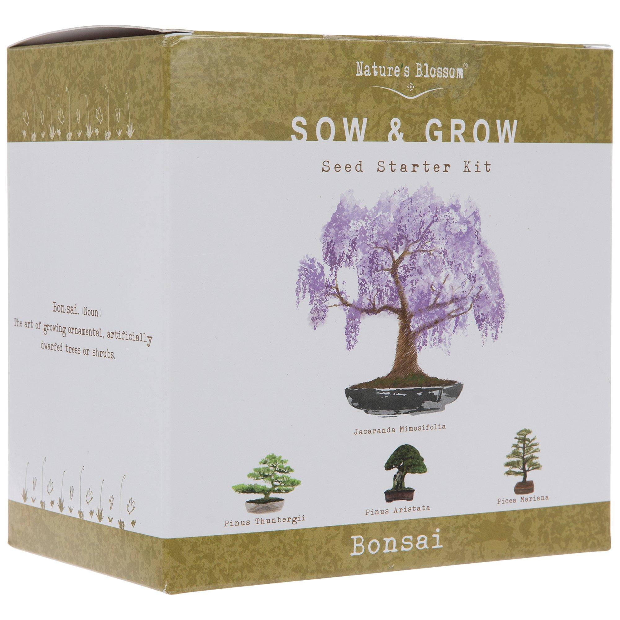 Bonsai Starter Kit - Gardening Gift for Women & Men - Bonsai Tree Growing  Garden Crafts Hobby Kits for Adults, Unique DIY Hobbies for Plant Lovers -  Unusual Chr…