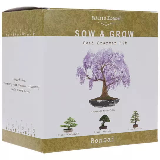 Bonsai Tree Kit - The Fox Shop