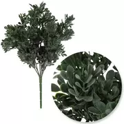Boxwood Leaf Bush