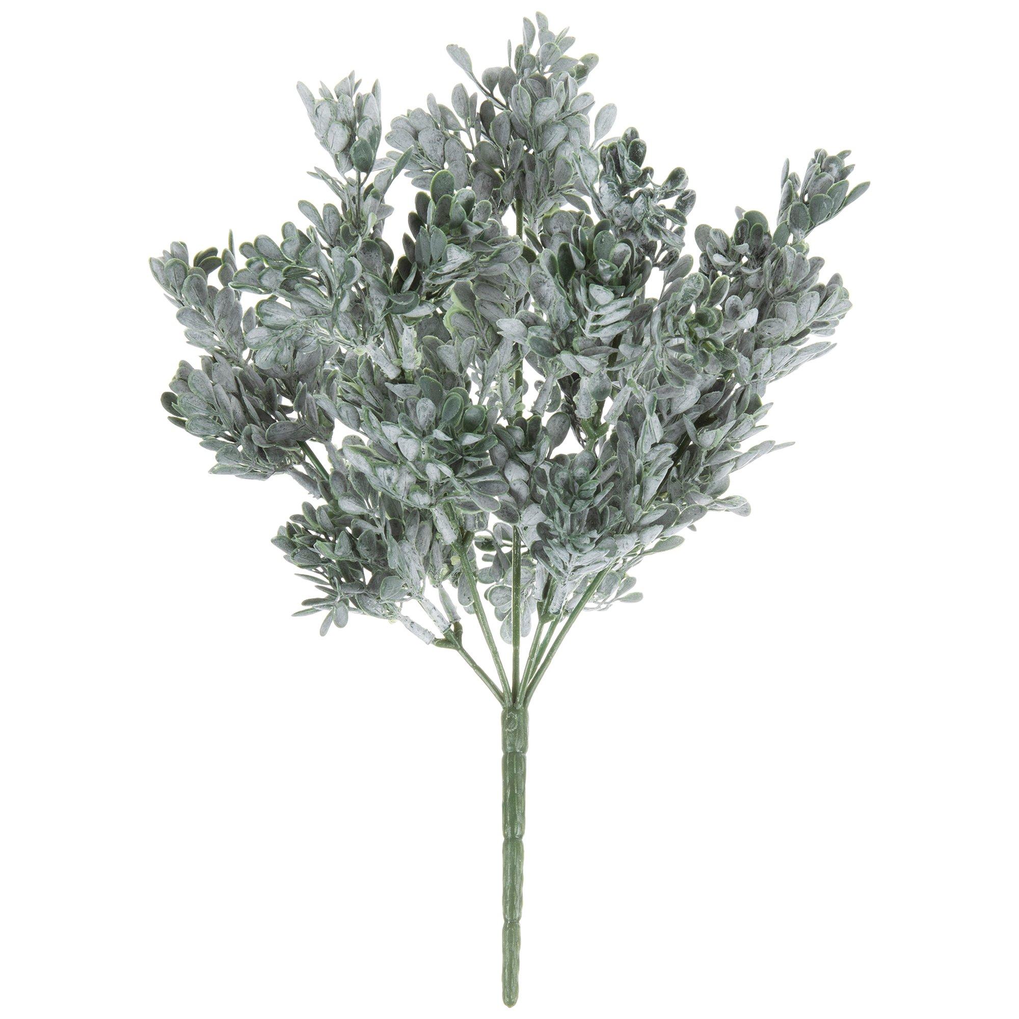 Boxwood Leaf Bush Hobby Lobby 1727726