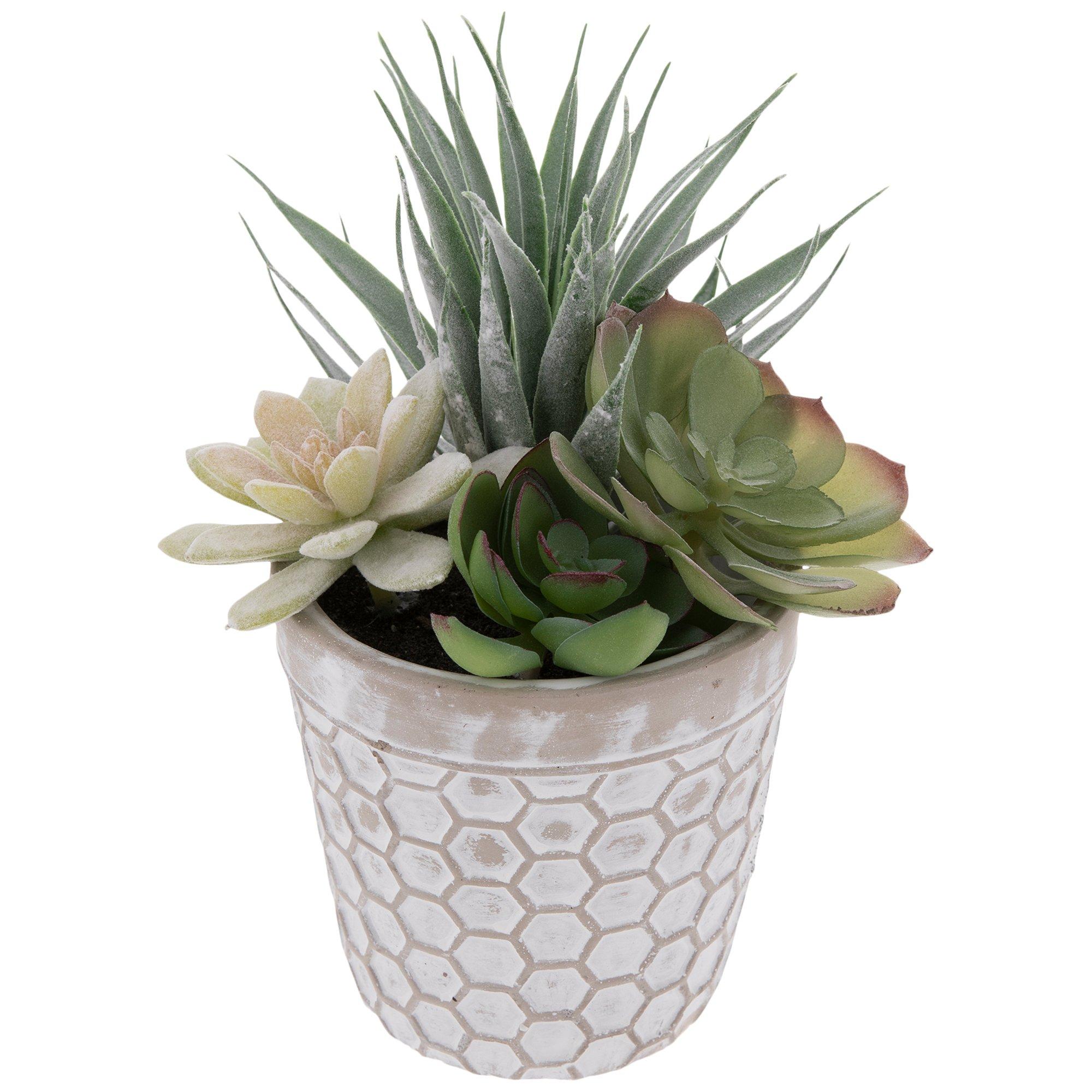 Distressed Honeycomb Pot With Succulents | Hobby Lobby | 1733369