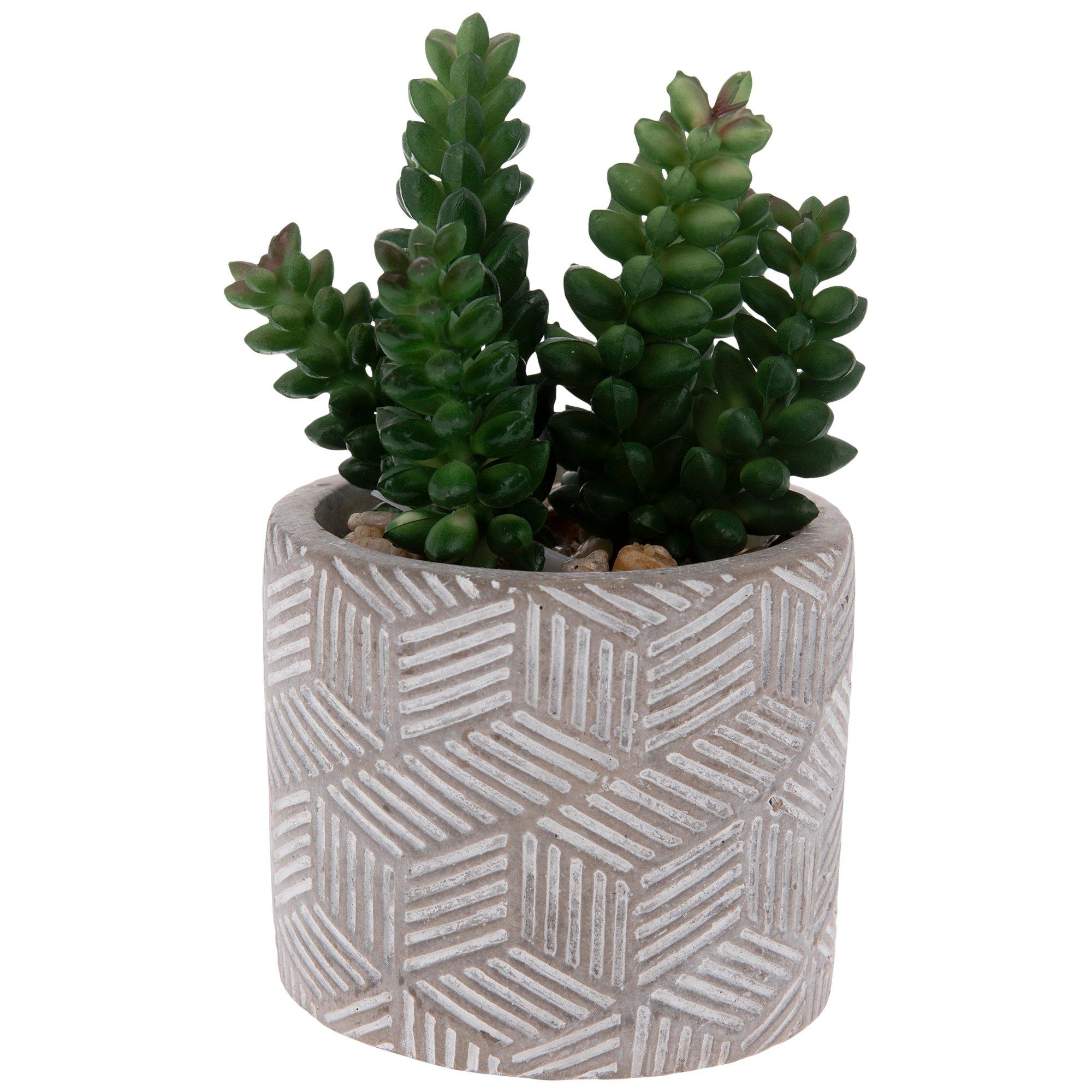 clear planter pot Clear Plastic Nursery Pots