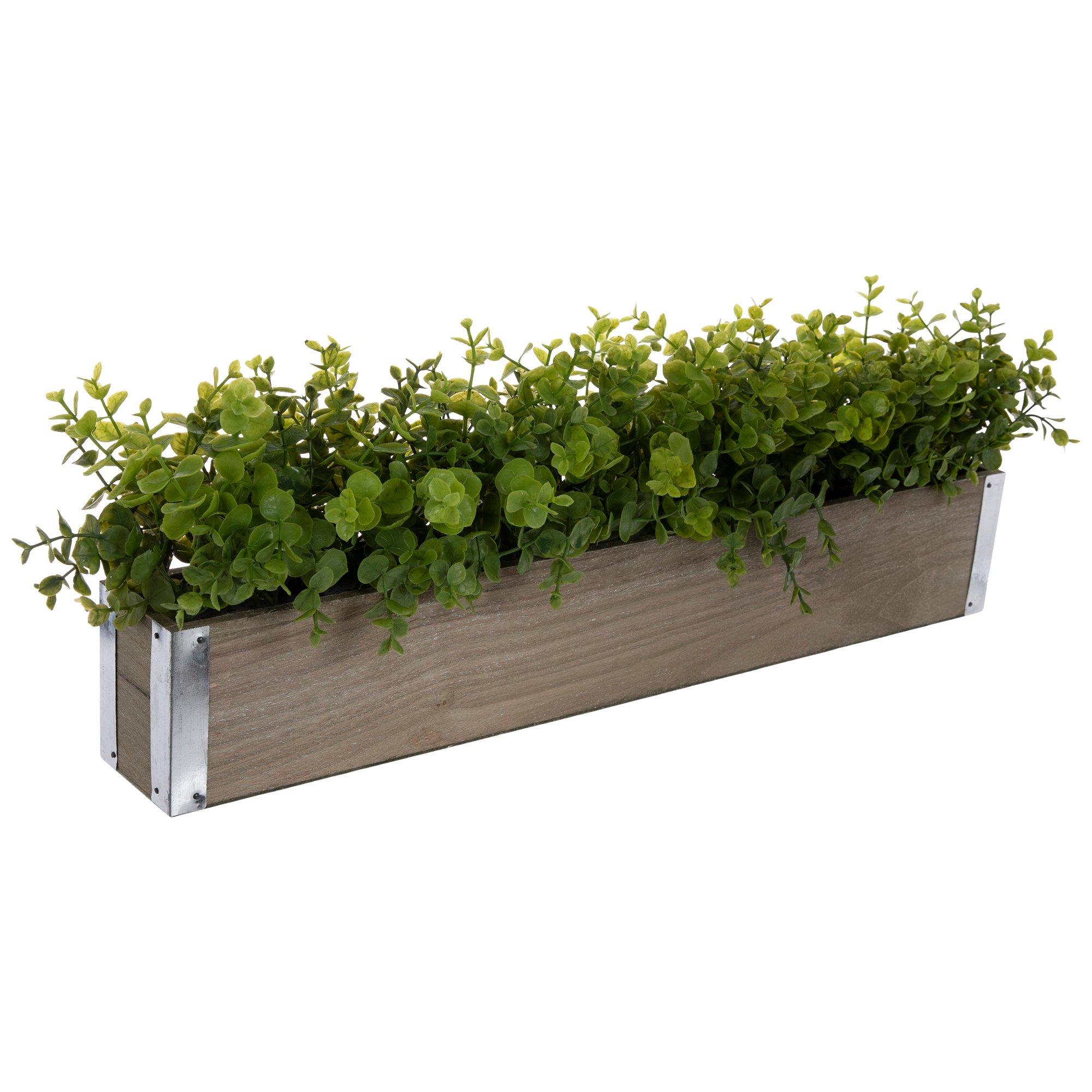 Selected Product Image