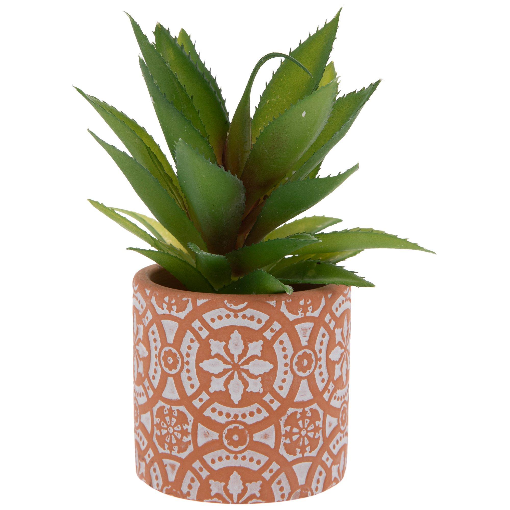Succulent In Mosaic Terracotta Pot Hobby Lobby 1734078