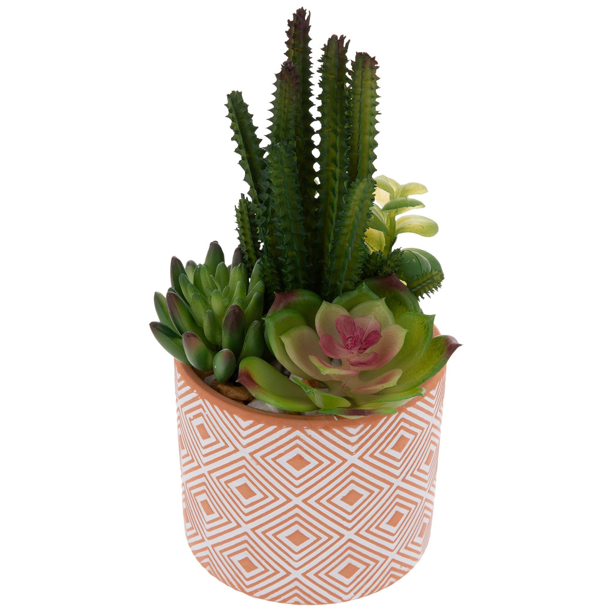 Succulents In Terracotta Pot Hobby Lobby 1734128