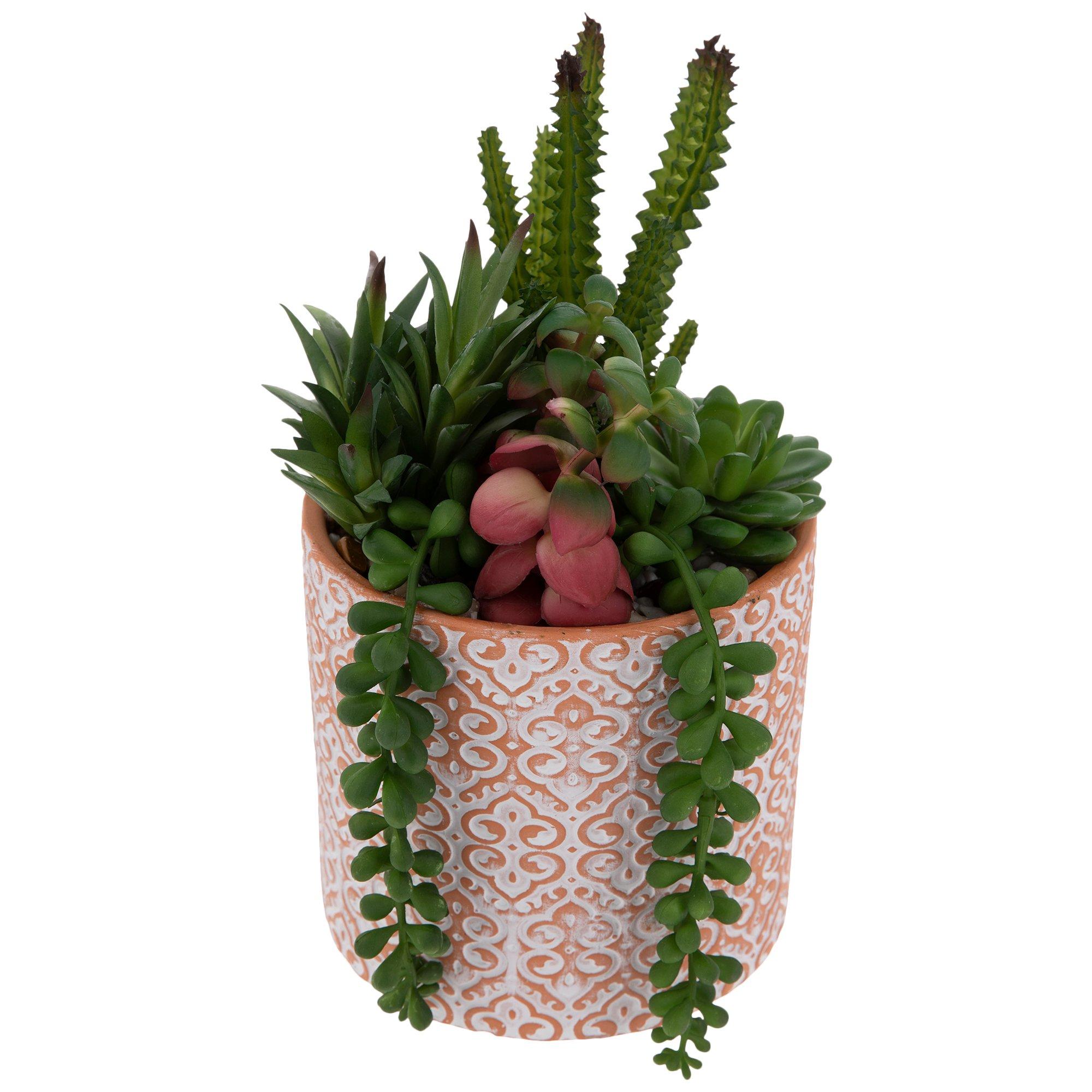 Succulents In Terra Cotta Pot Hobby Lobby 1734136