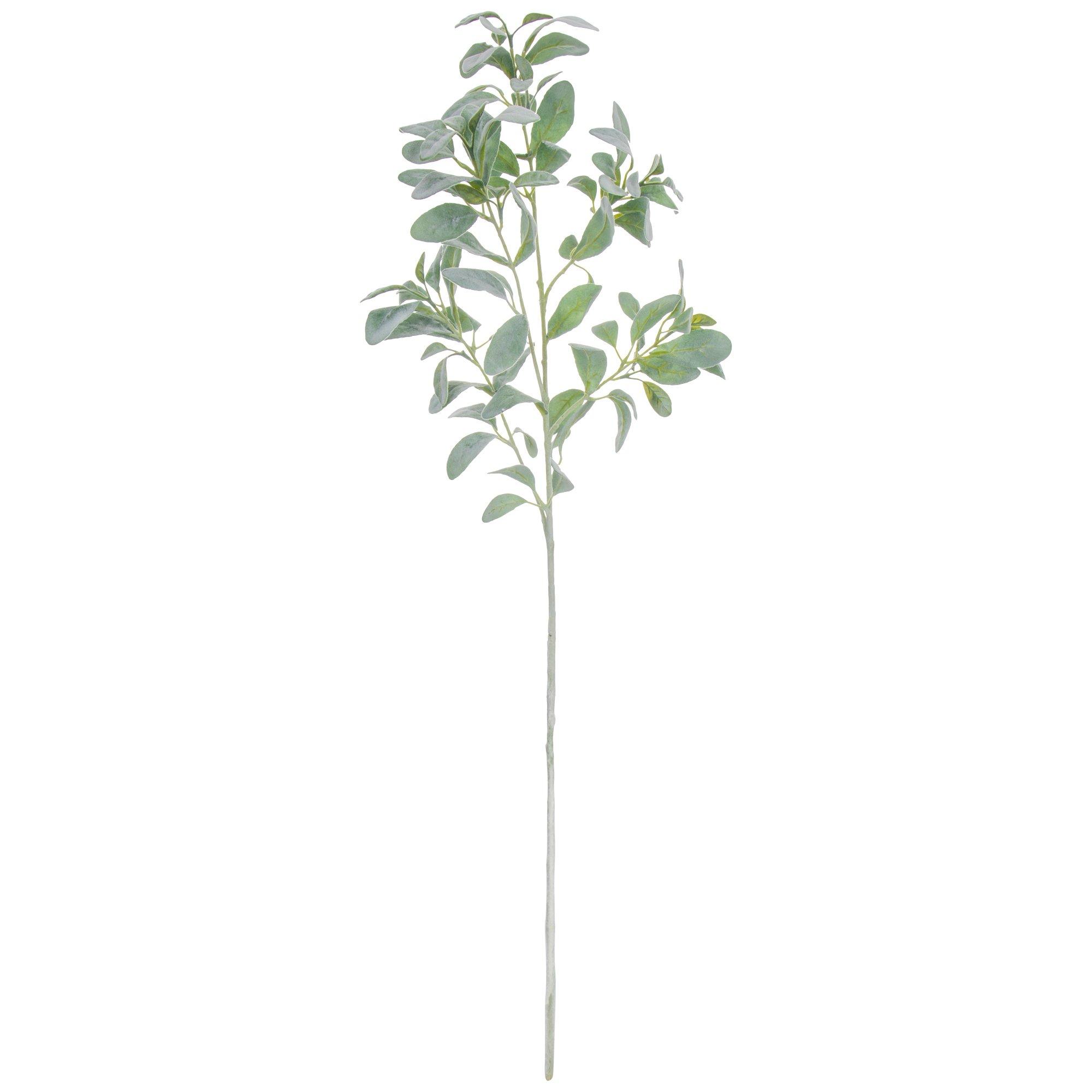 Frosted Green Lamb's Ear Spray Hobby Lobby 1736776