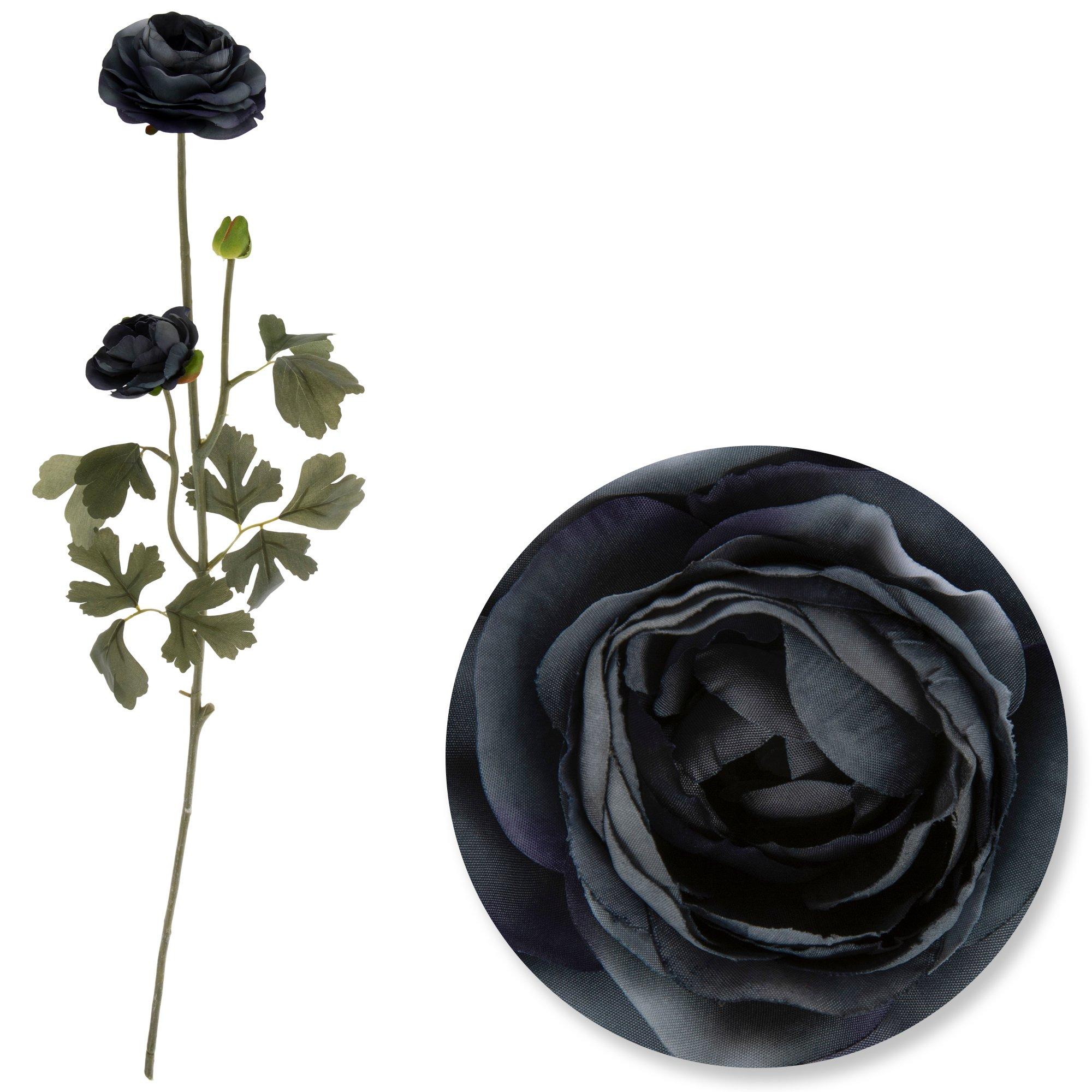 Selected Product Image