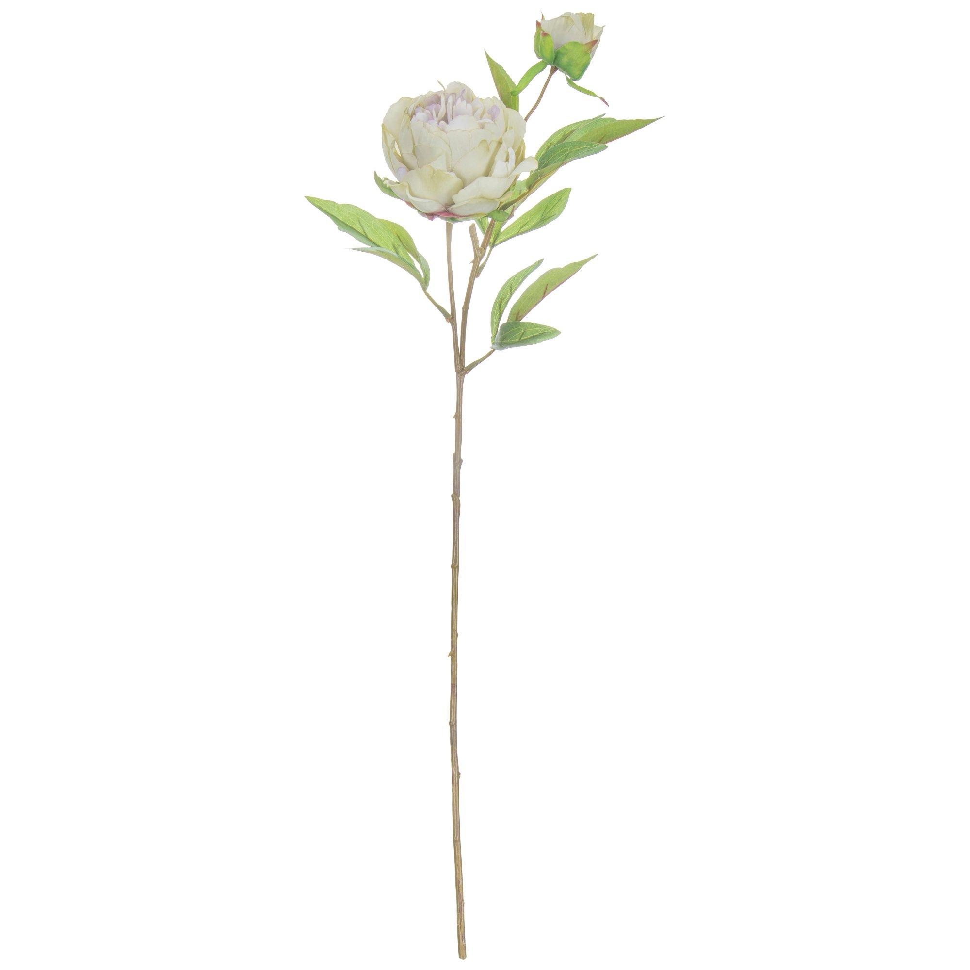Peony Stem Hobby Lobby 1737543