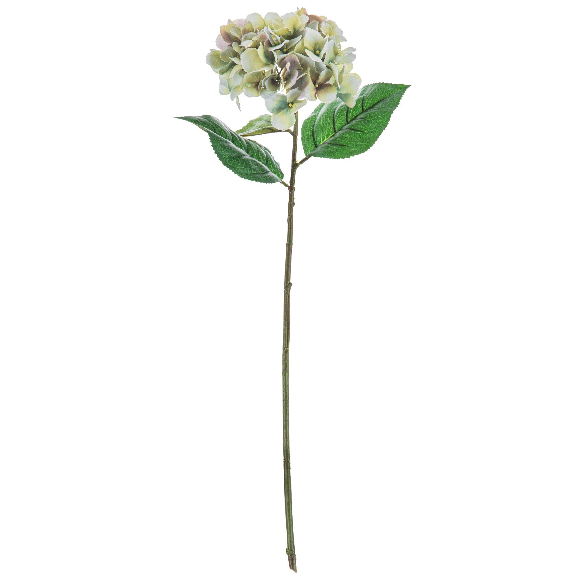 Hydrangea Stem Hobby Lobby 1737576