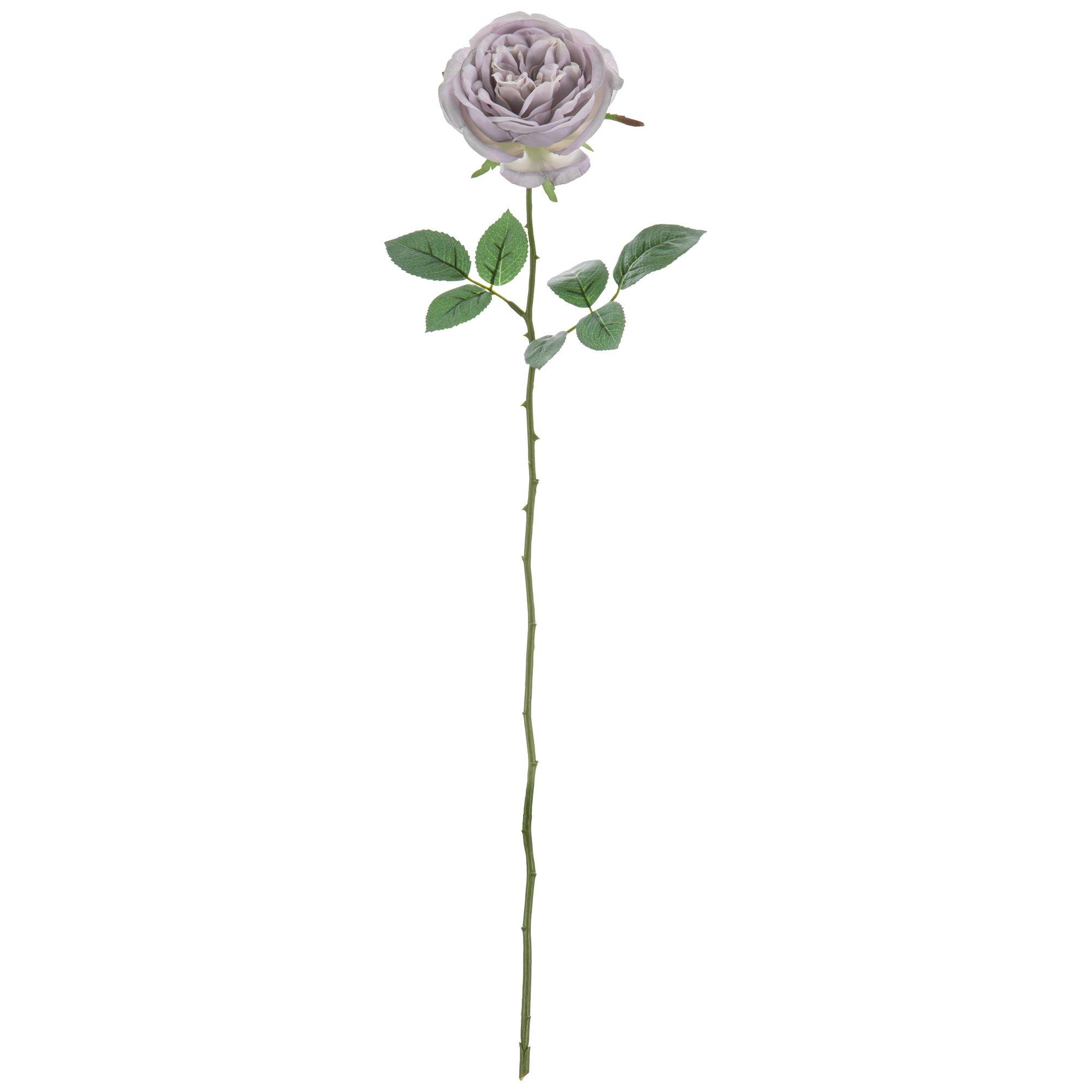 Rose Stem Hobby Lobby 1737659