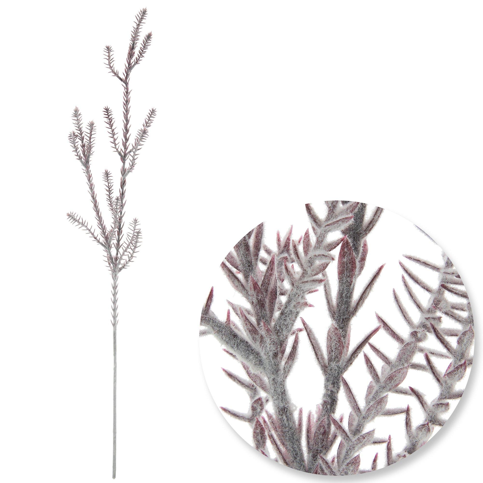 Selected Product Image