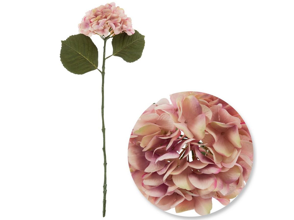 スポーツトイ・アクショントイ hydrangea Aquilegia スポーツトイ