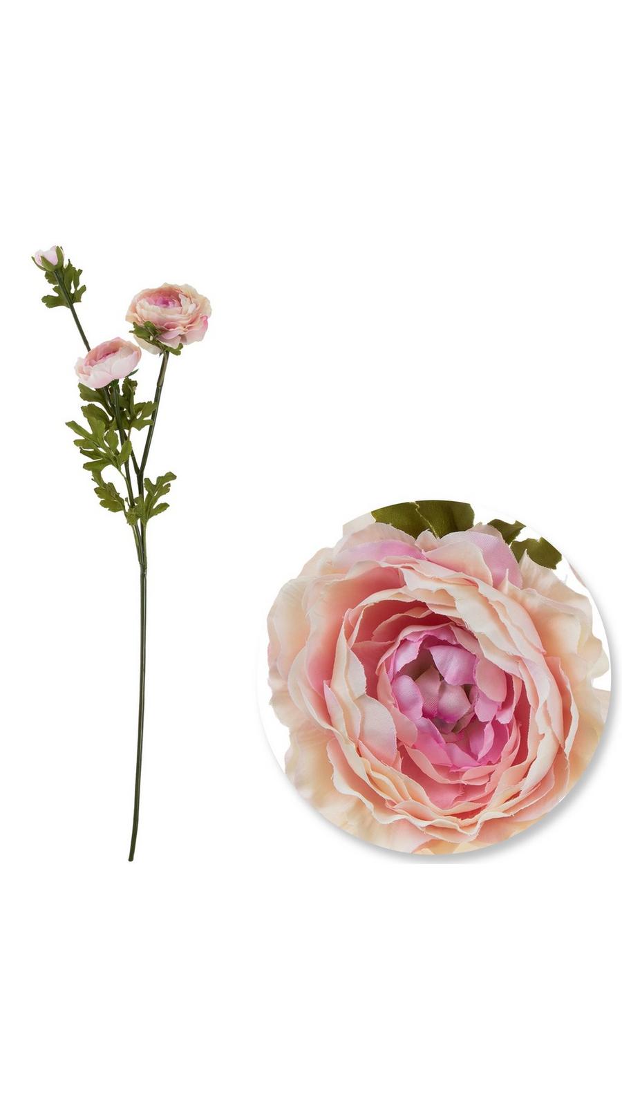 1738012-80922129-04302024-