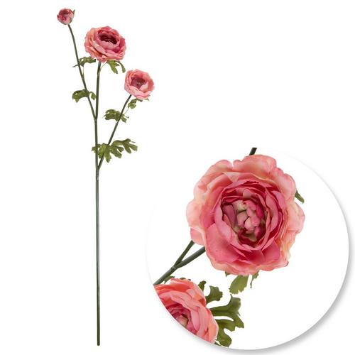 Blush - Ranunculus Stem