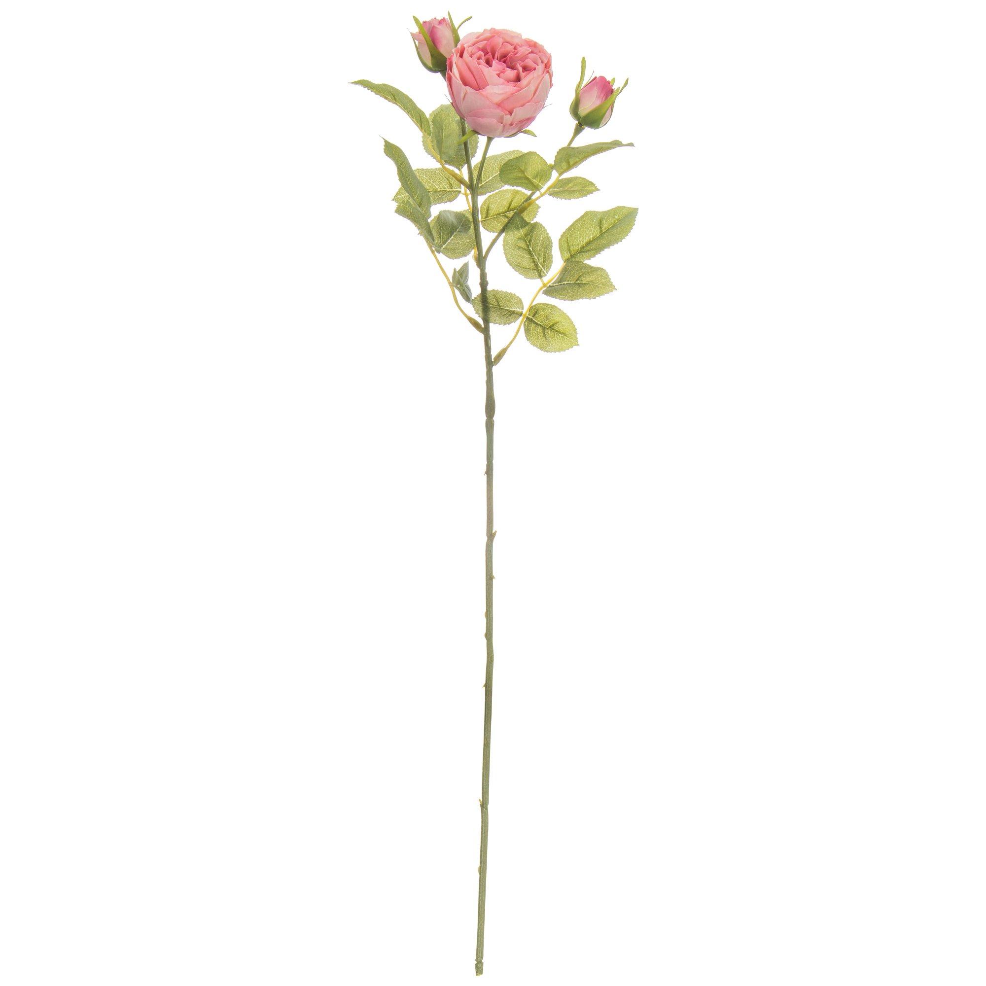 Rose Stem Hobby Lobby 1738079