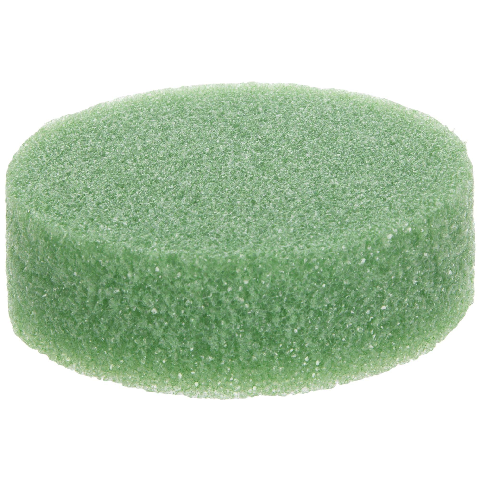 FloraFoM FloralFoam Disc Hobby Lobby 174540