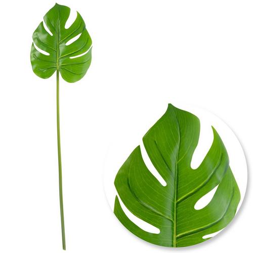 Monstera Leaf Stem