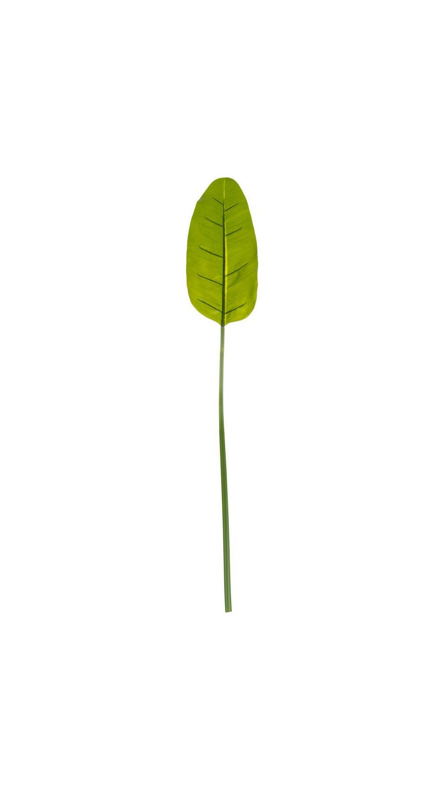Banana Leaf Stem | Hobby Lobby | 1747716