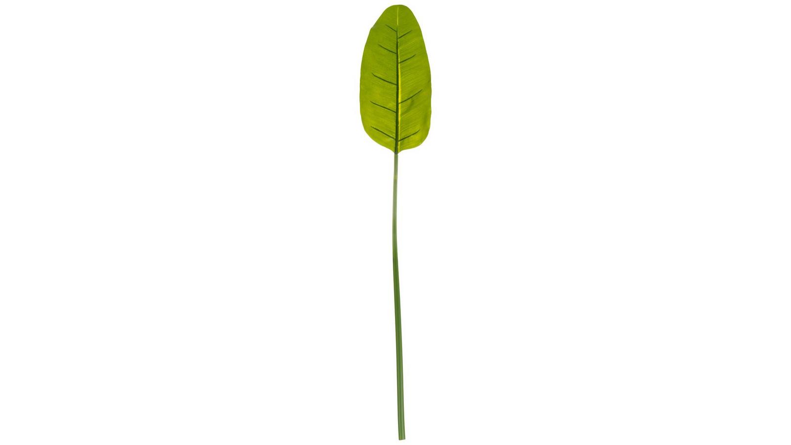 Banana Leaf Stem | Hobby Lobby | 1747716
