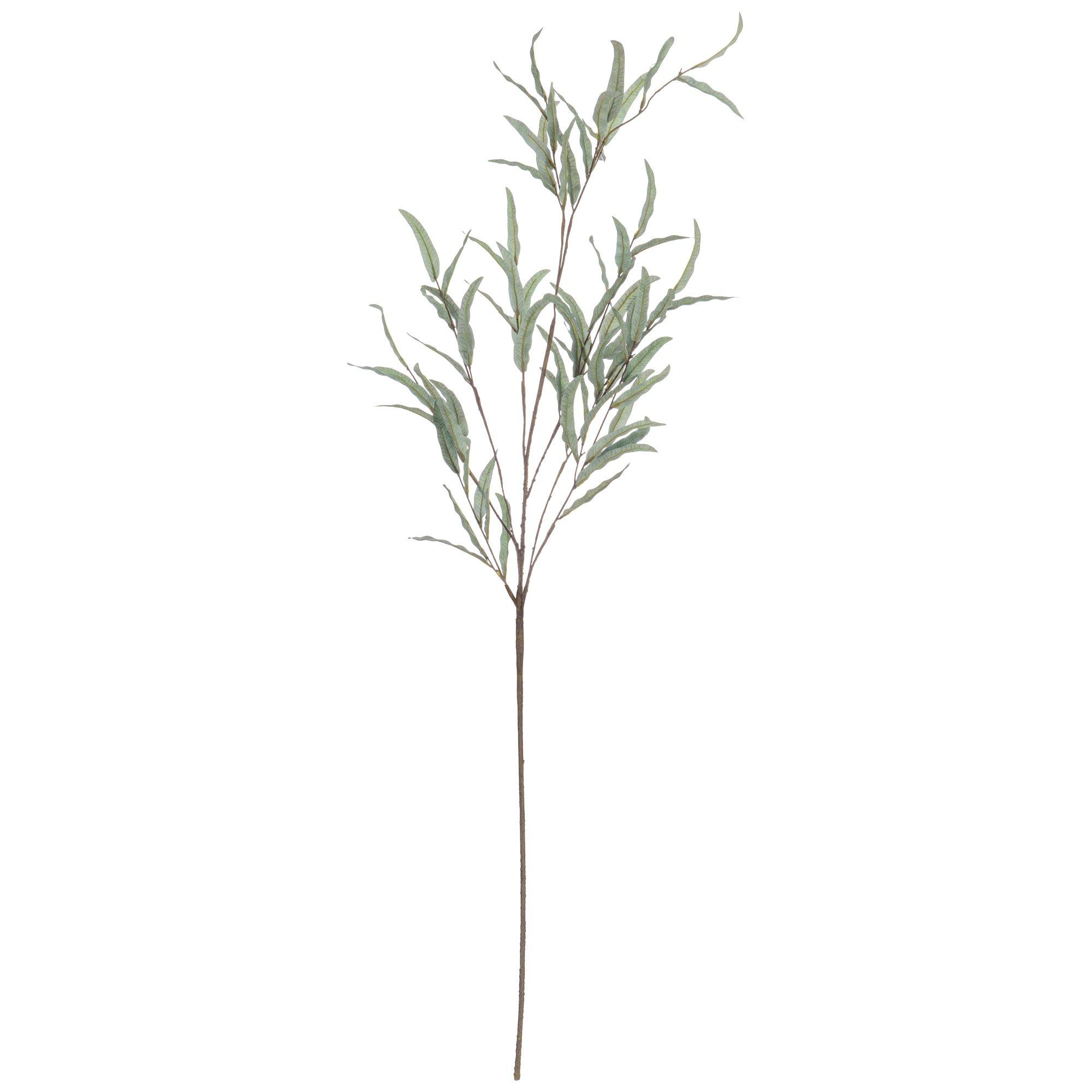 Selected Product Image