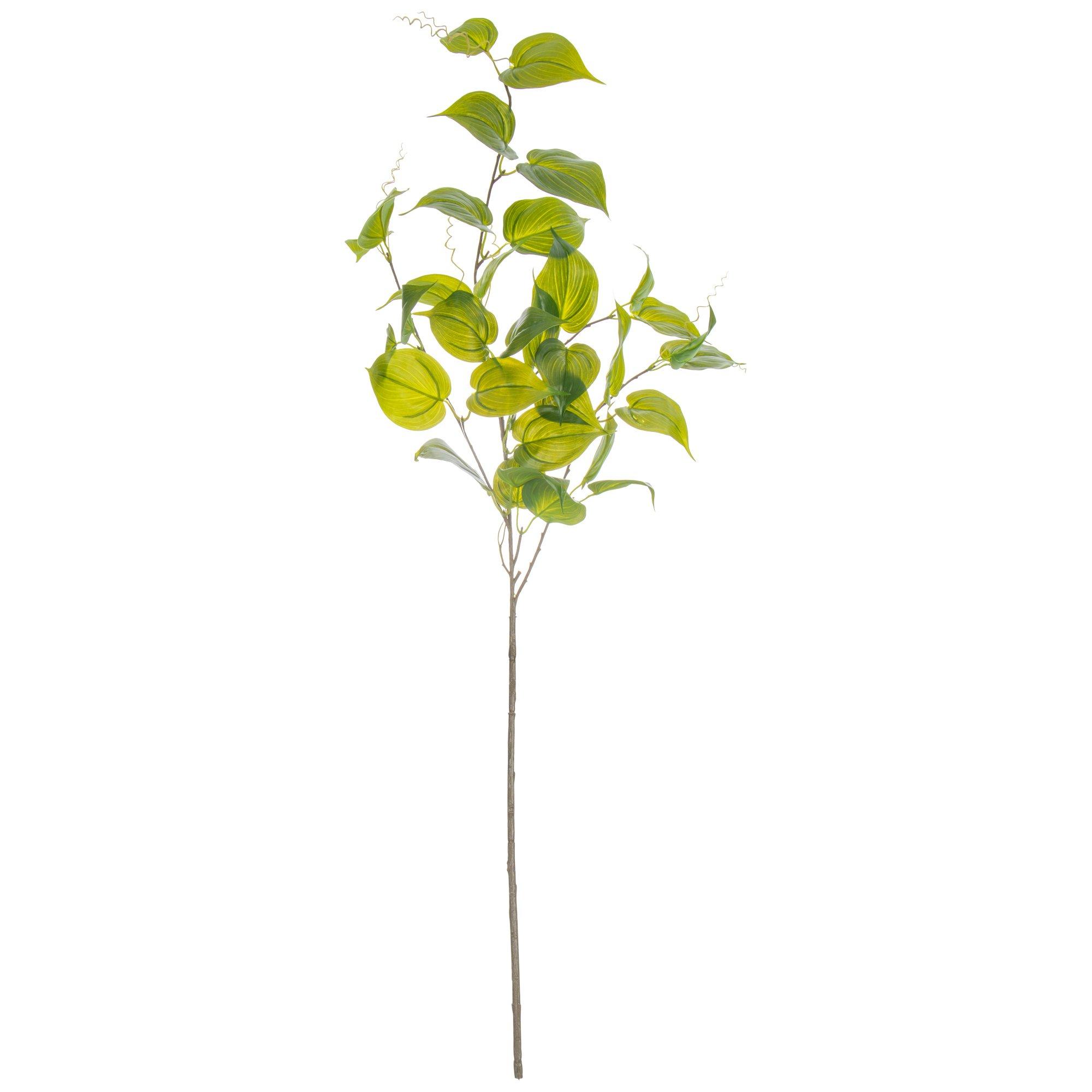 Evergreen Spray Hobby Lobby 1749282