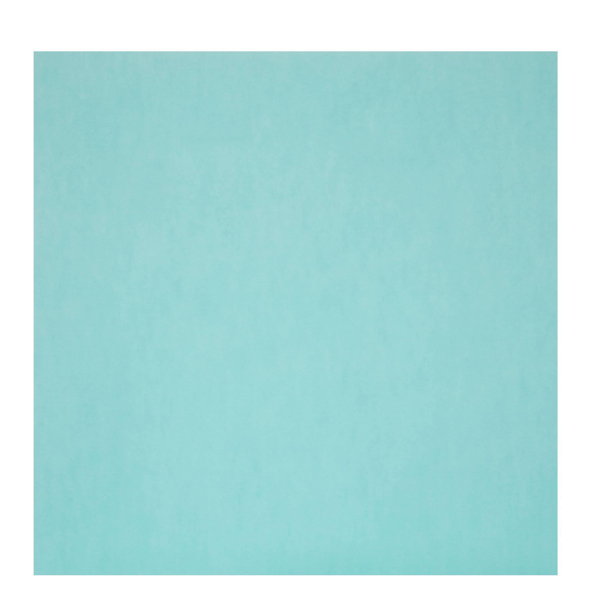 Permanent Vinyl 12" x 12" Hobby Lobby 1752153