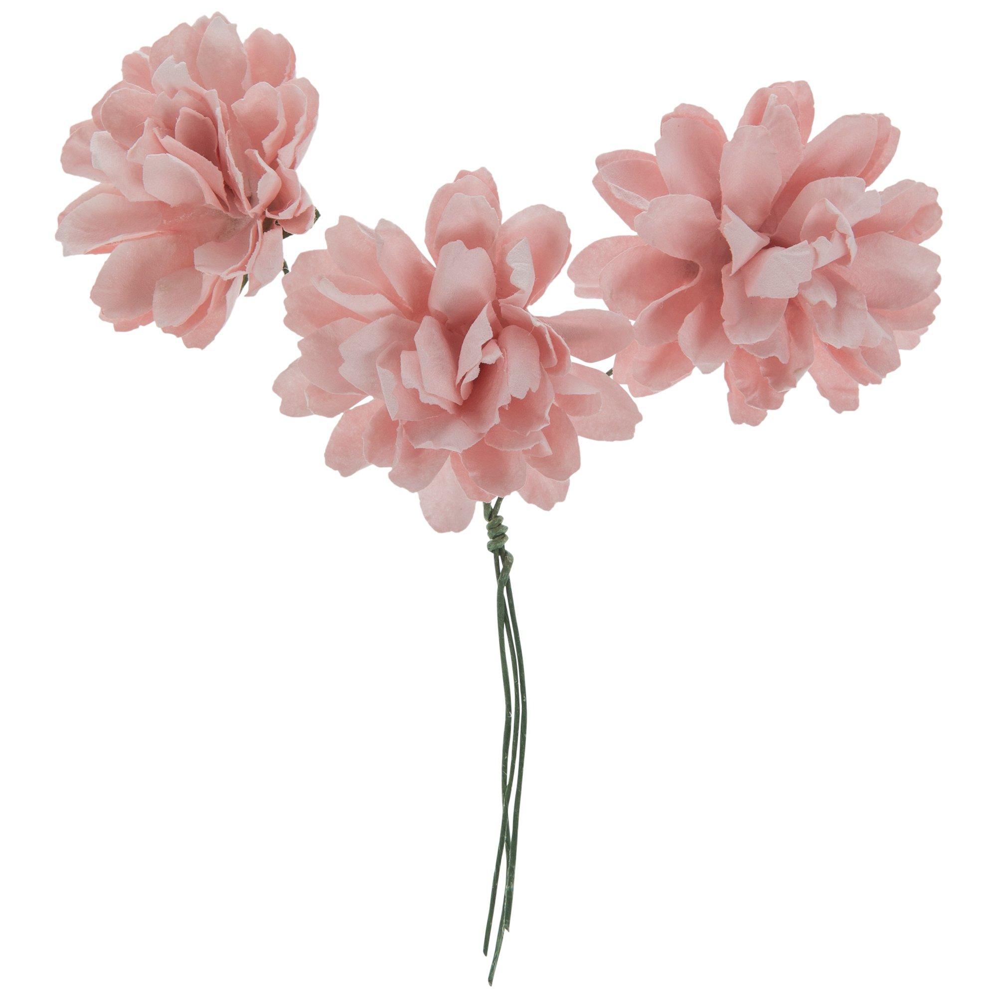 Selected Product Image