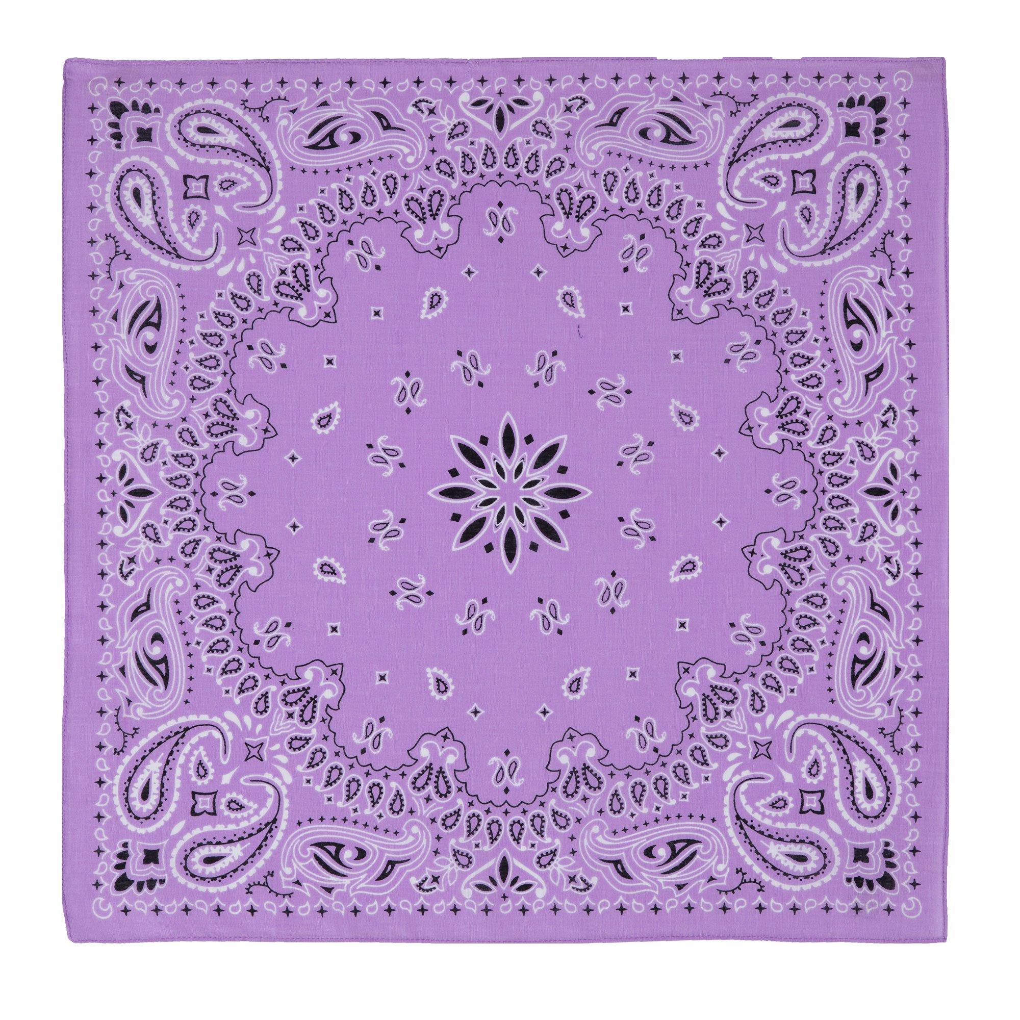 Paisley Bandana Hobby Lobby 176545