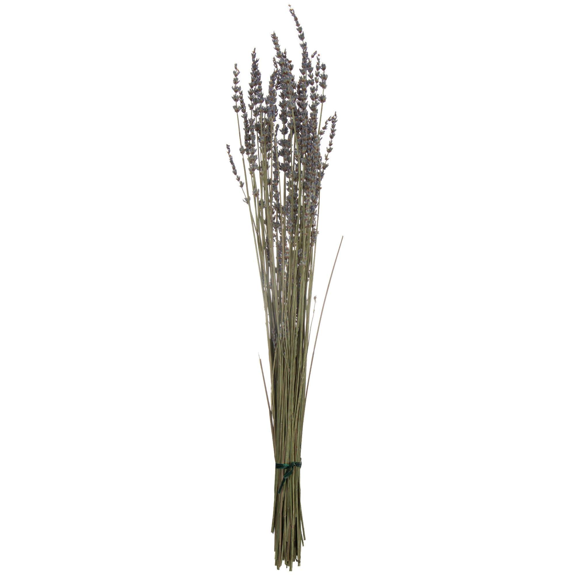 Lavender Bunches on Stem – SOS Chefs