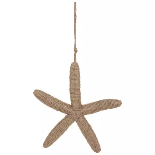 How to Preserve a Starfish for a Decoration: 11 Steps