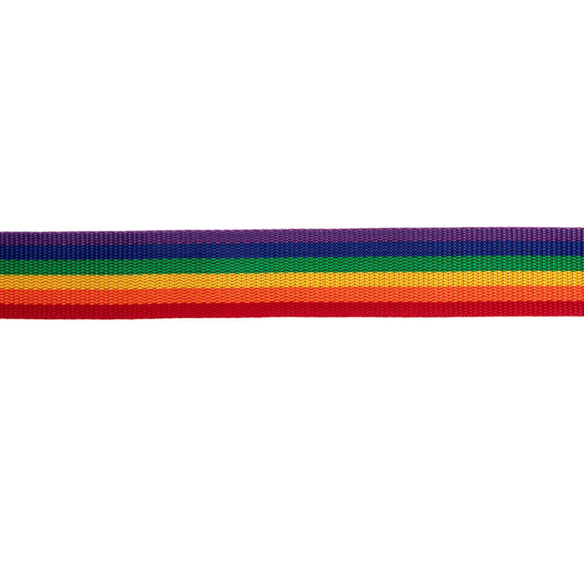 Rainbow Striped Belting Trim | Hobby Lobby | 1834837 display picture 2