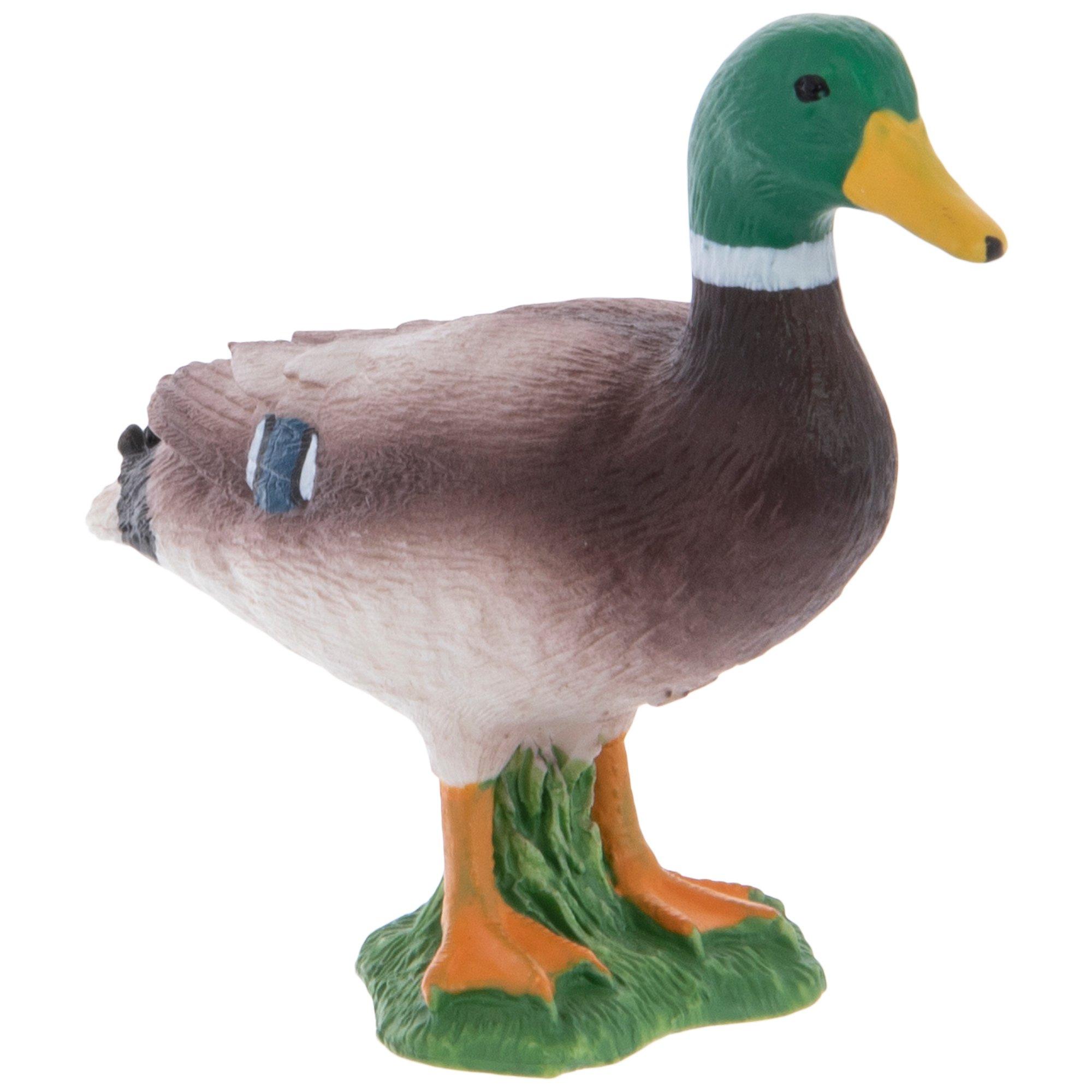 Mallard Duck Hobby Lobby 1846781
