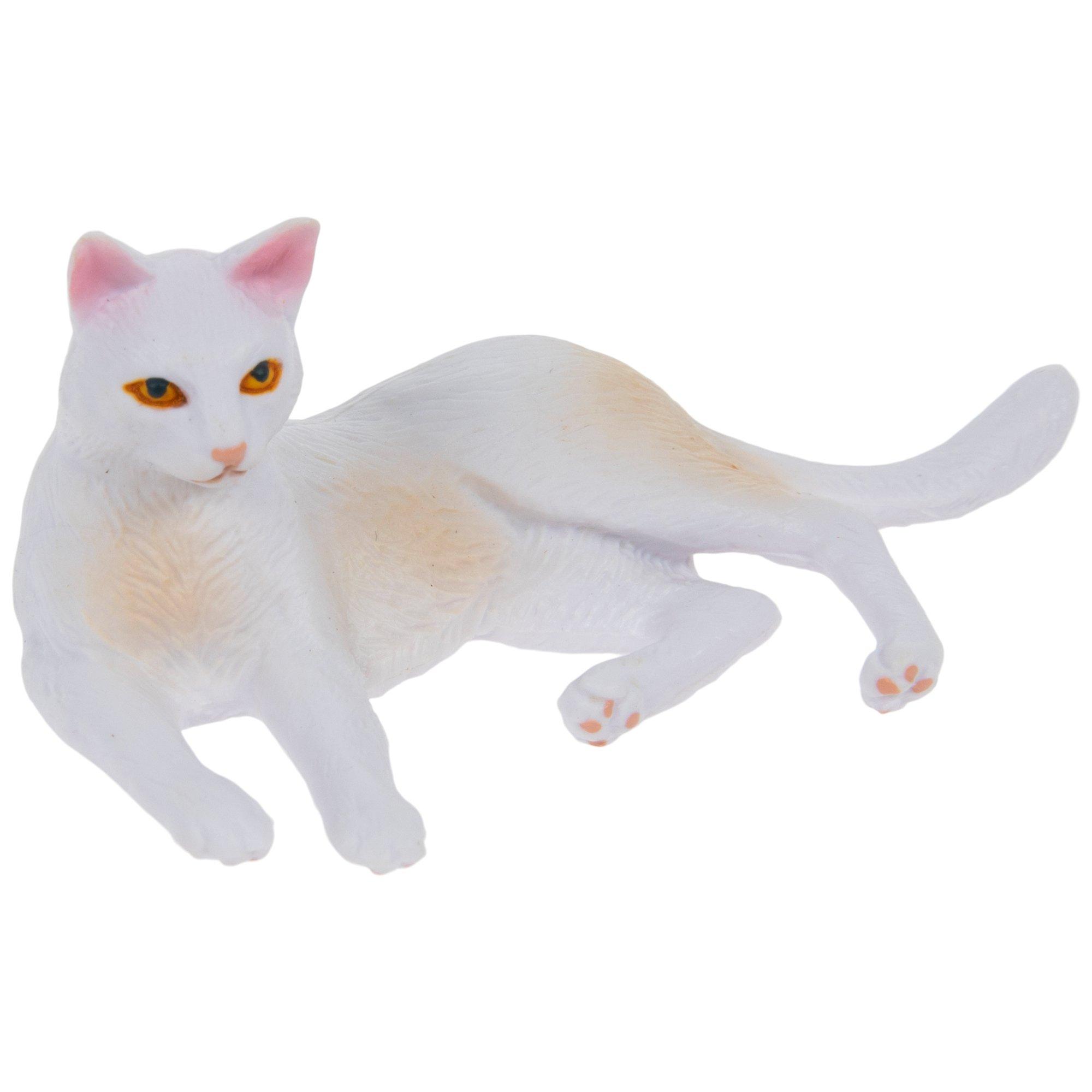 Selected Product Image