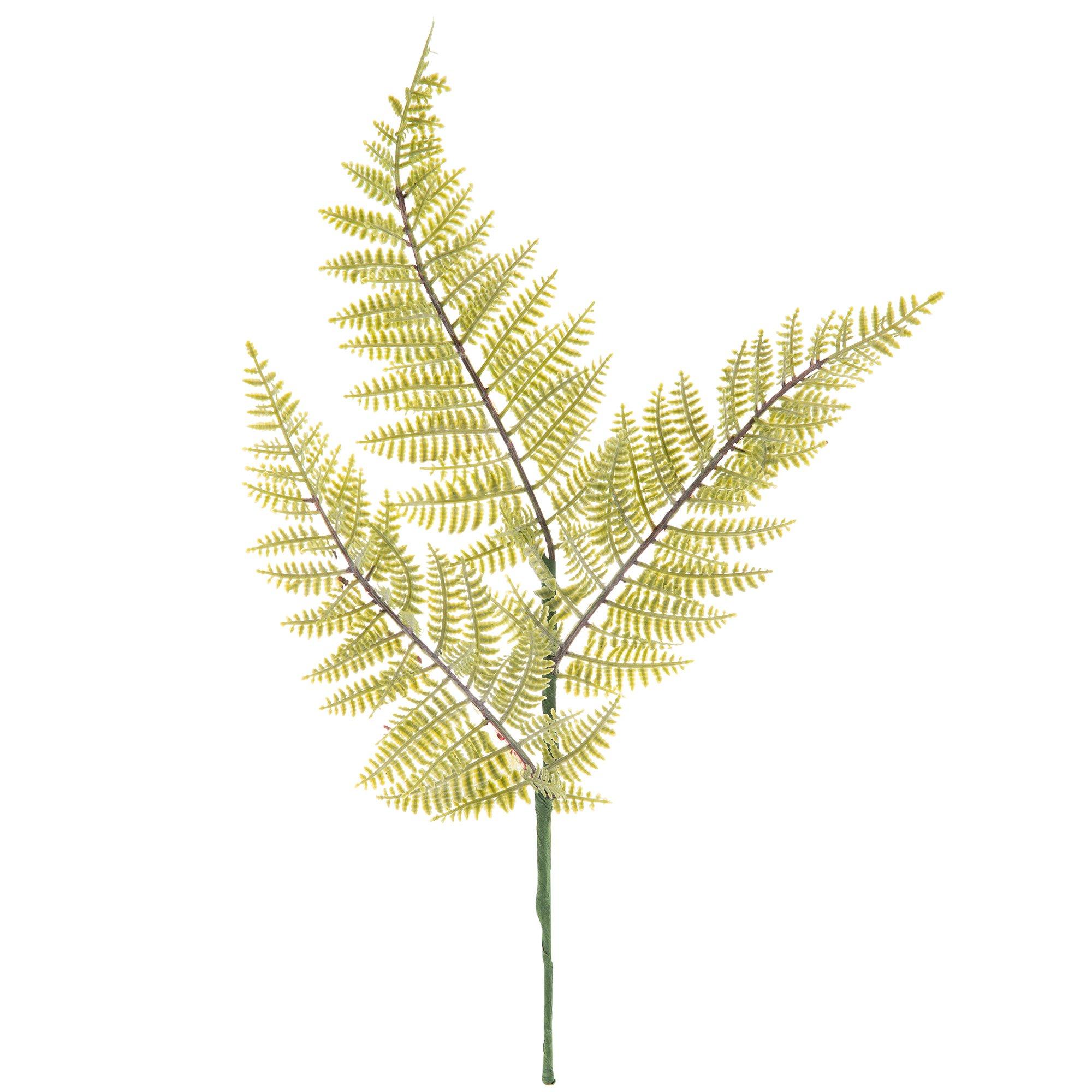 Fern Pick Hobby Lobby 1877778