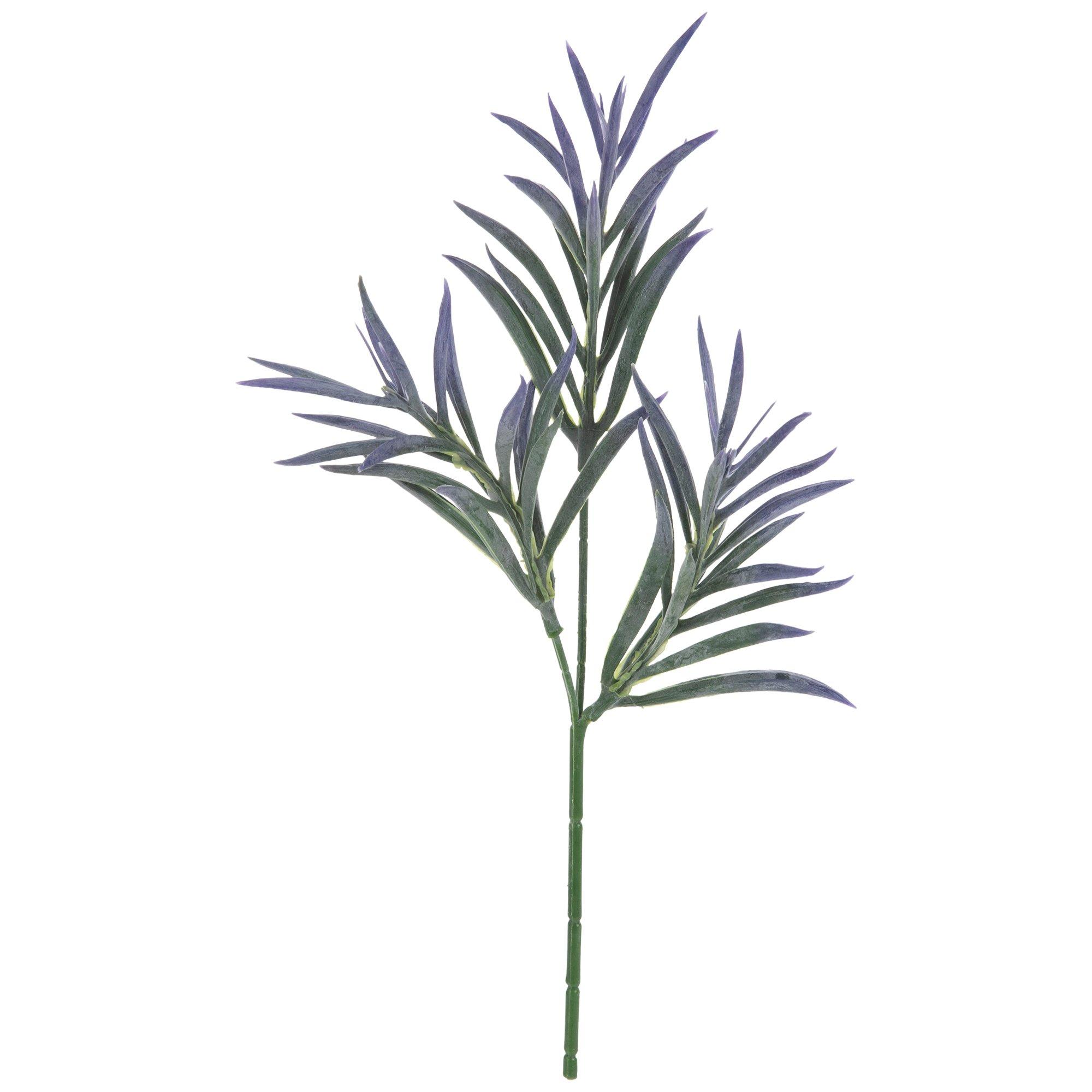 Green & Purple Podocarpus Pick | Hobby Lobby | 1877877