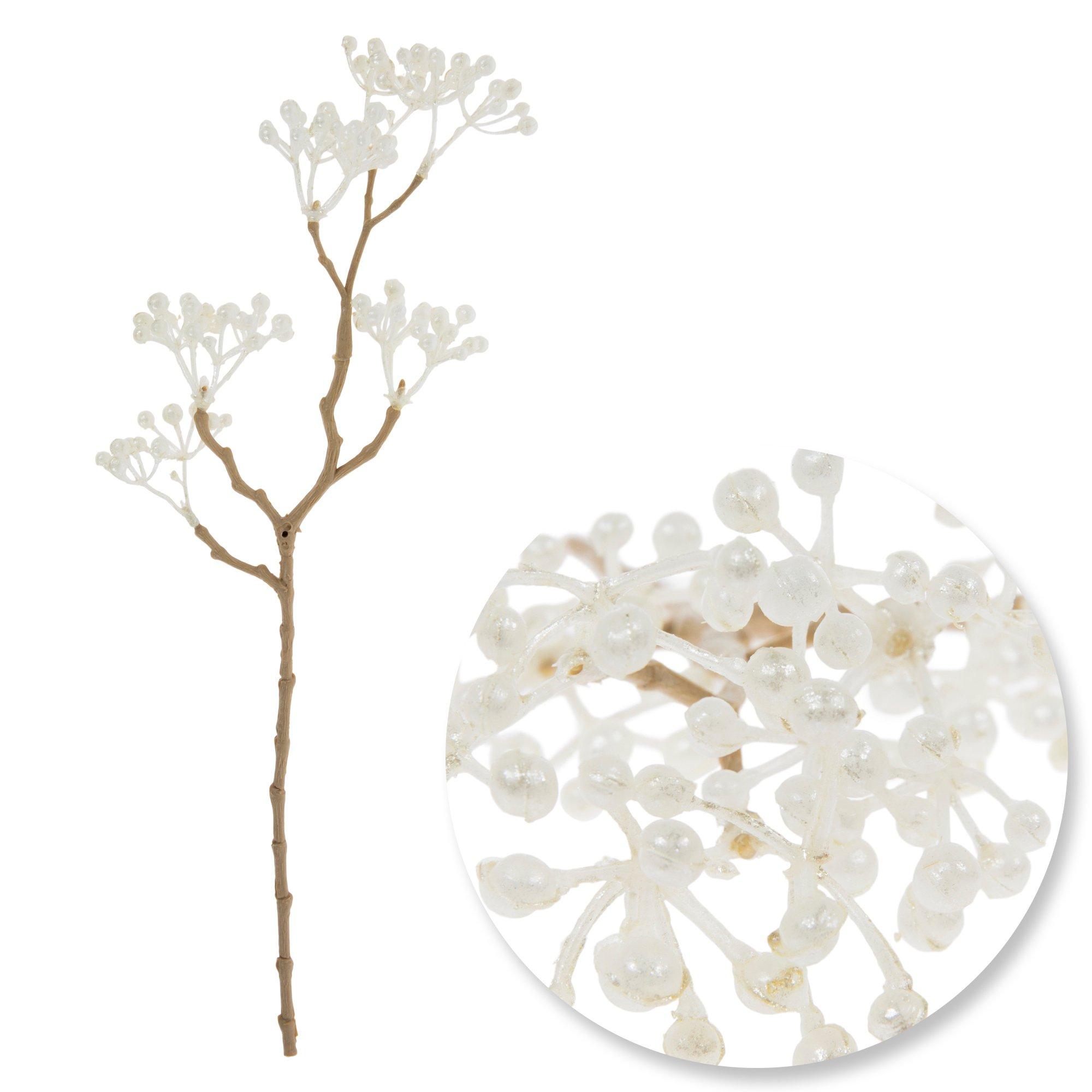 1877885-80966105-04172025-IMGSET