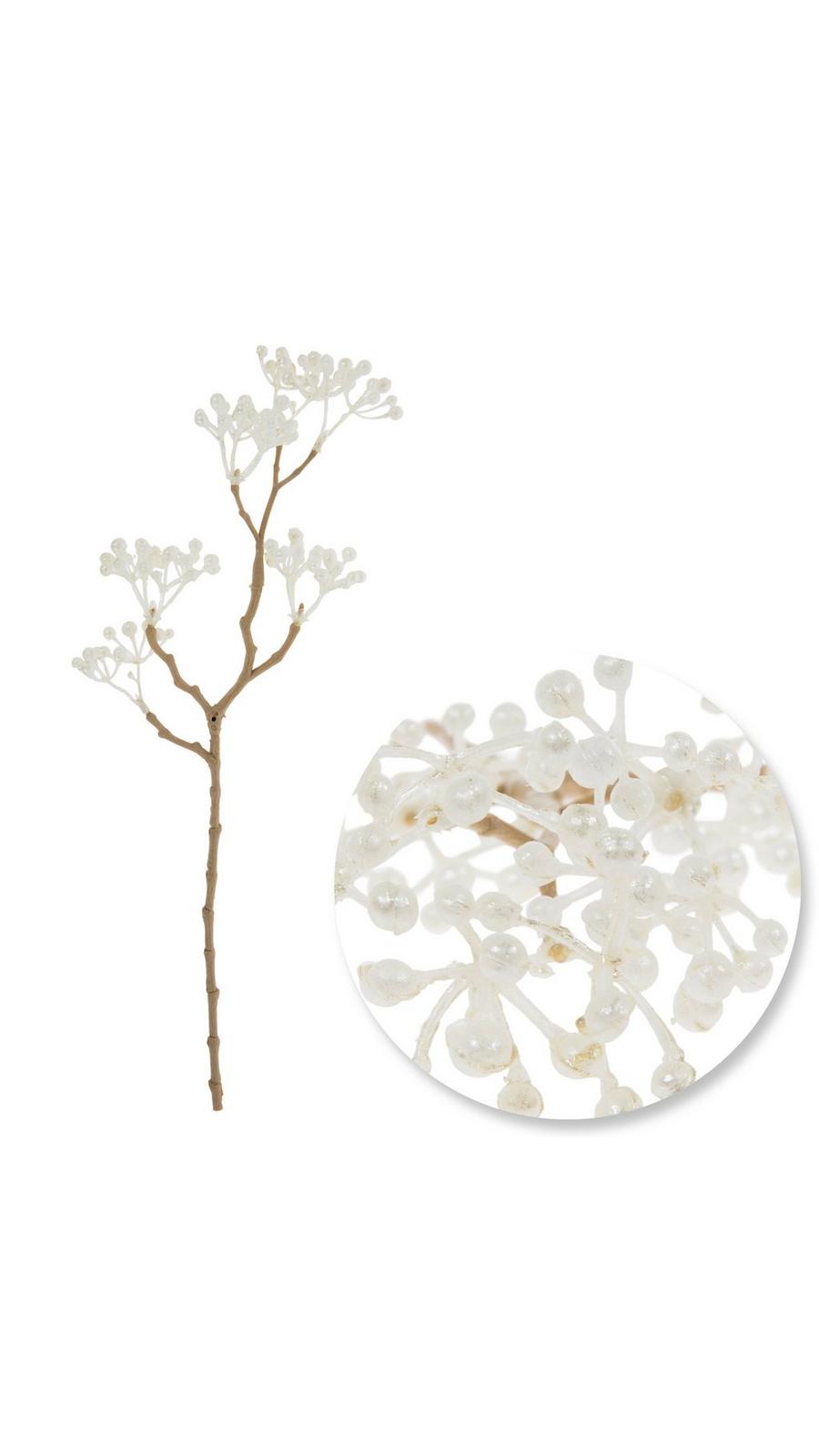 1877885-80966105-04172025-