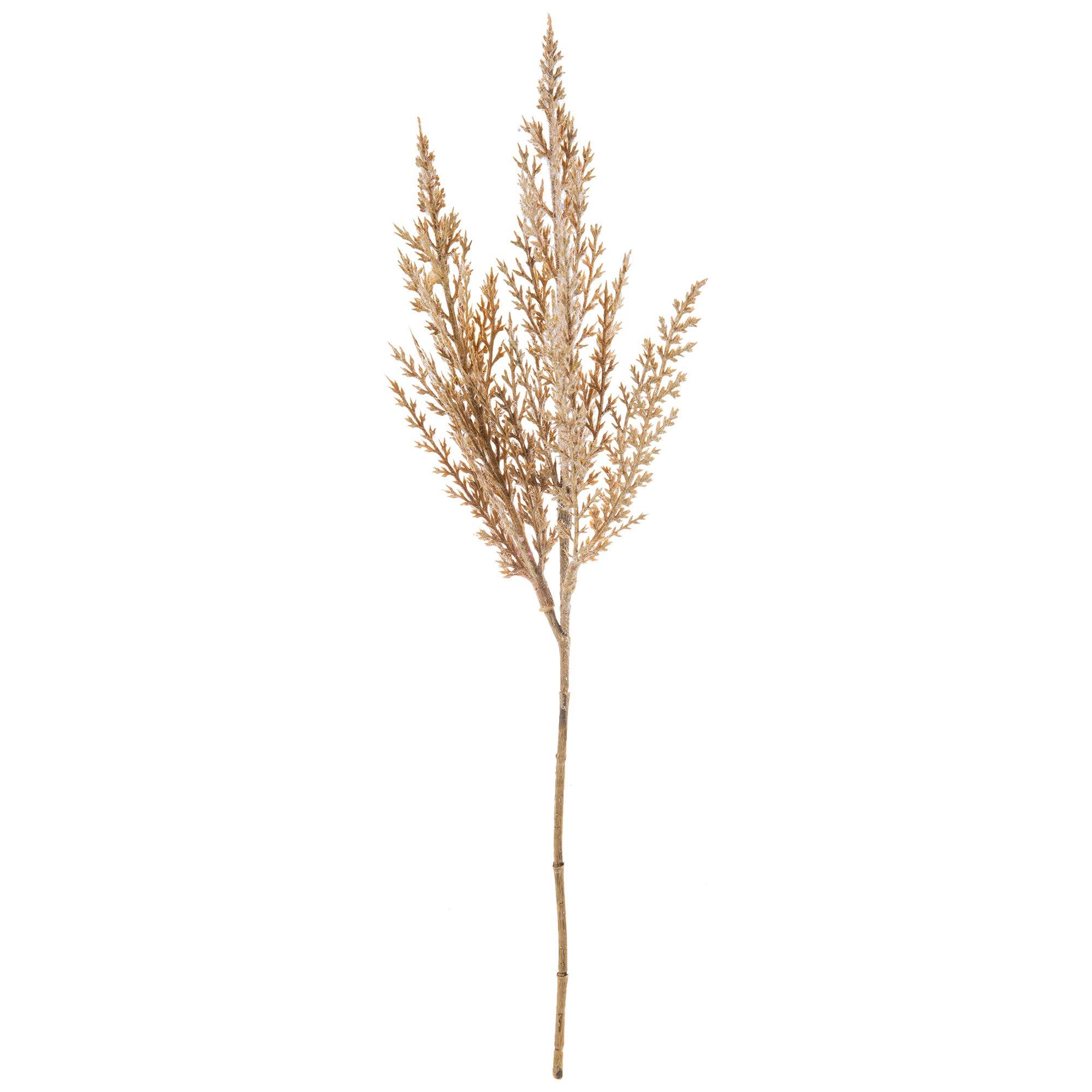 Pampas Grass Pick Hobby Lobby 1877919