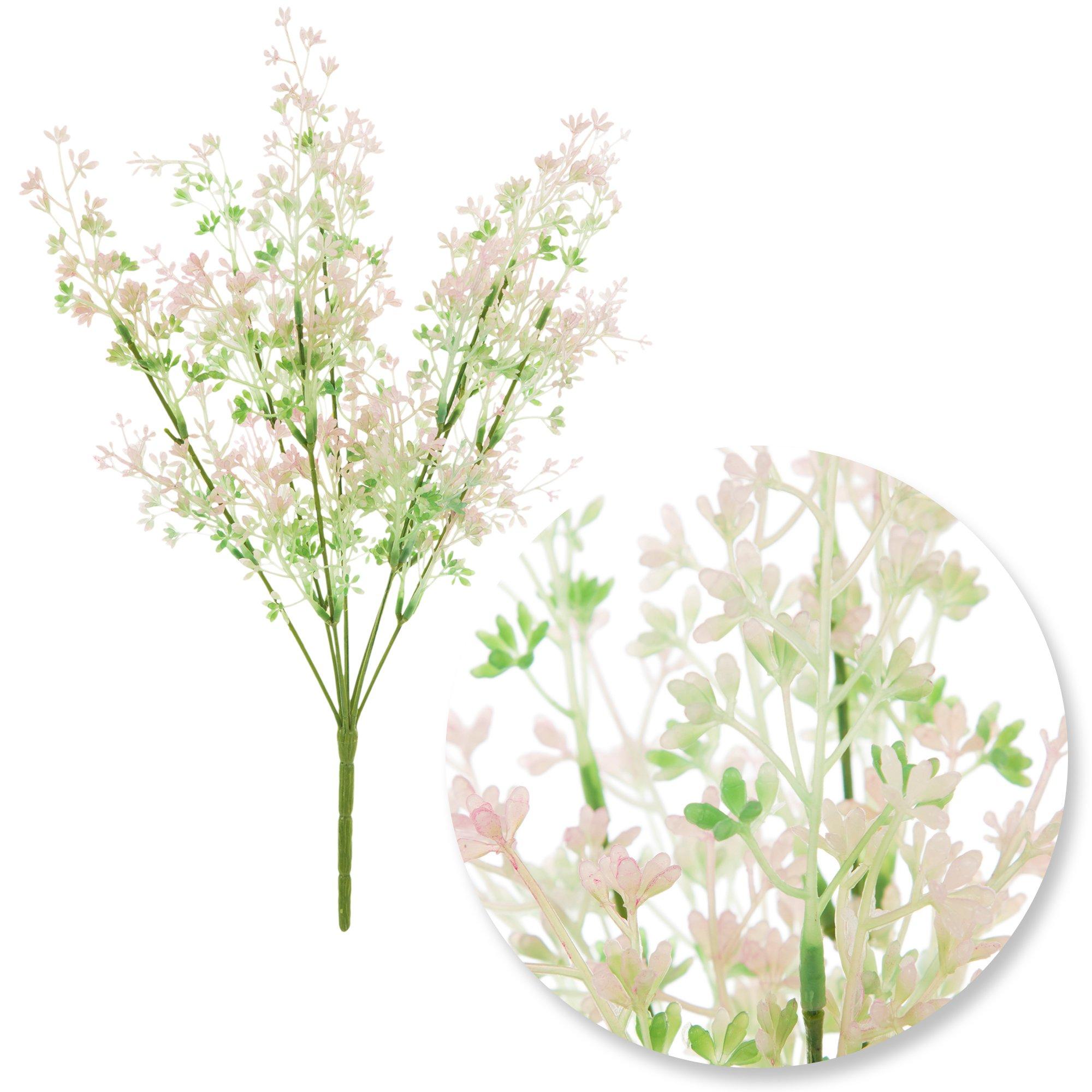 Selected Product Image