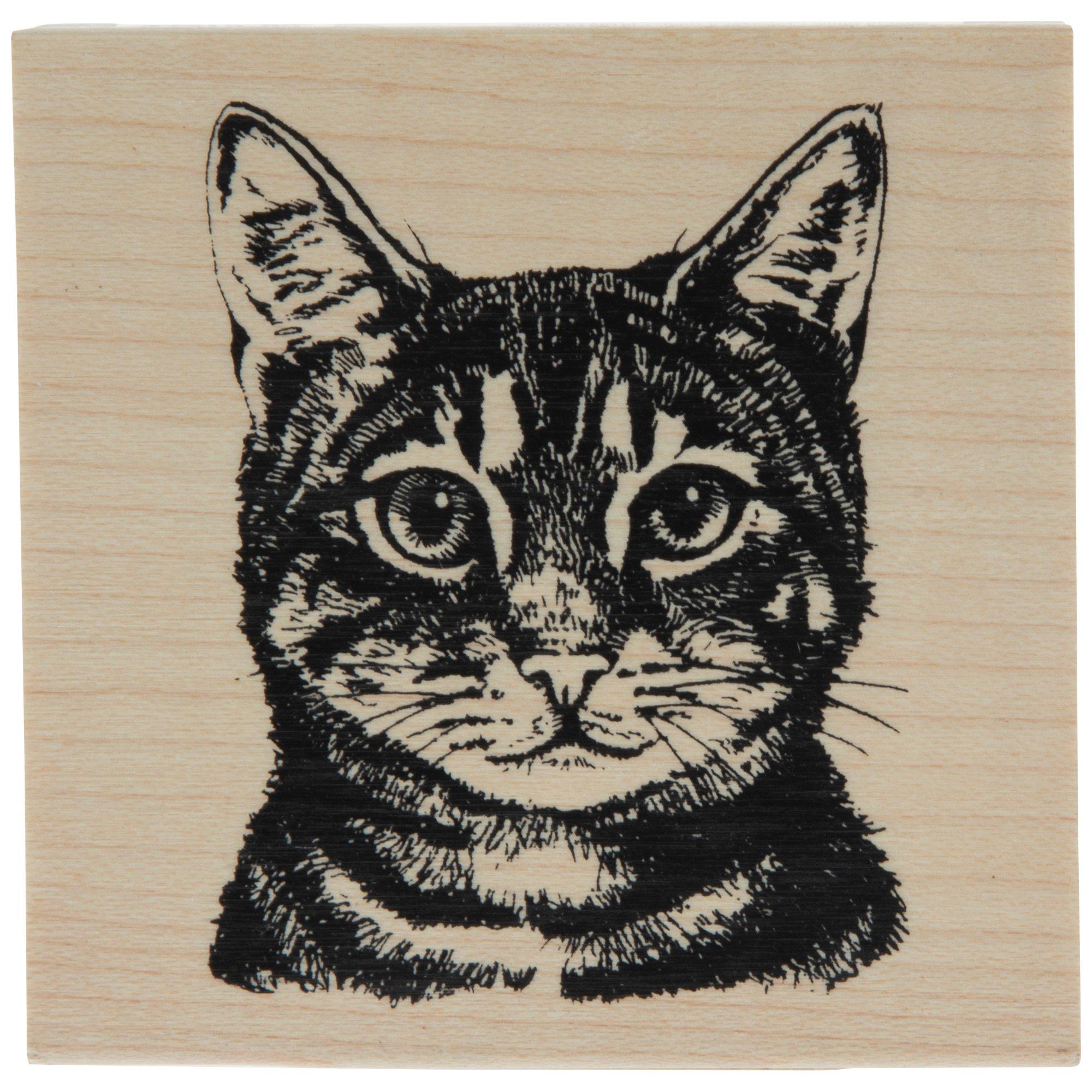 Tabby Cat Rubber Stamp Hobby Lobby 1880160