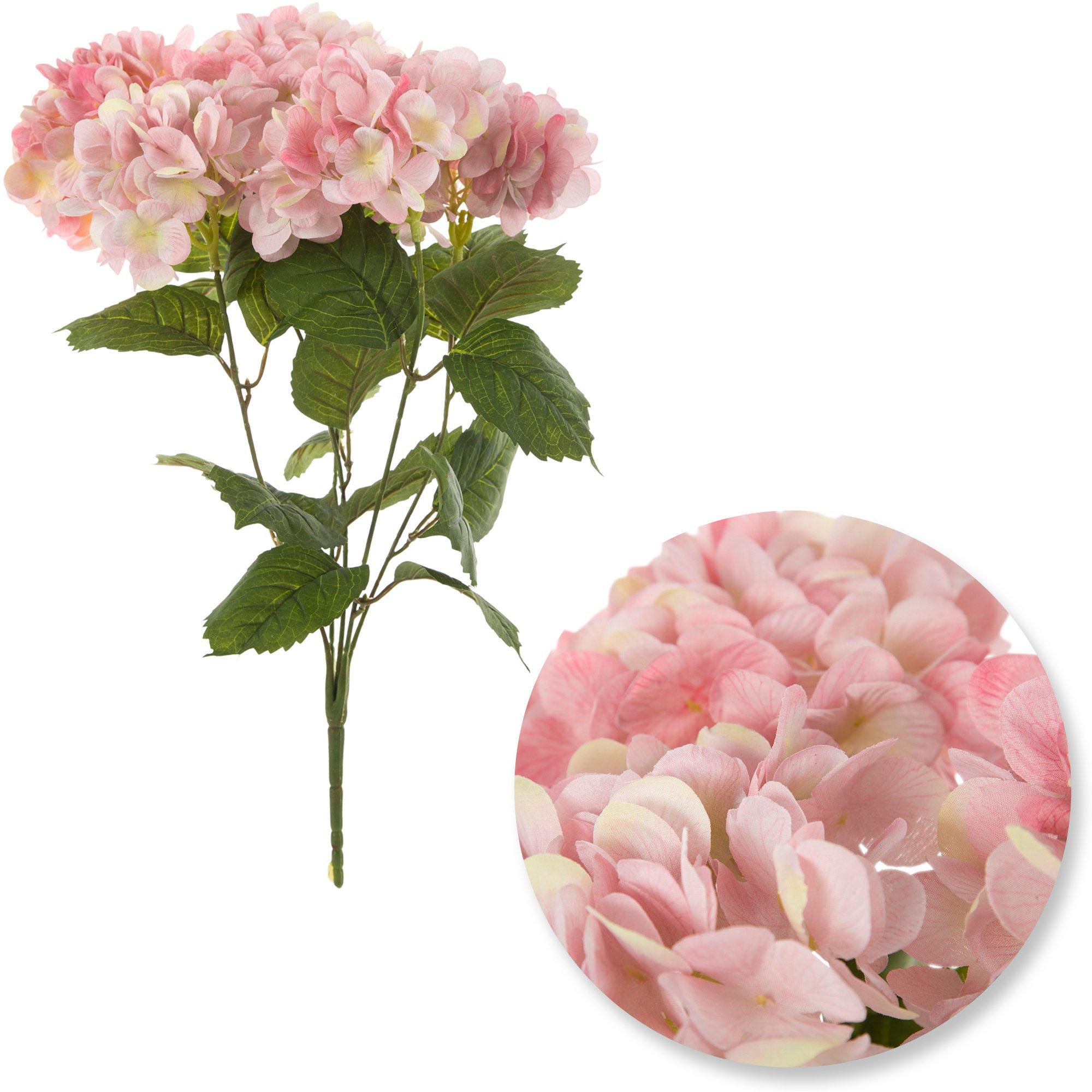 Selected Product Image