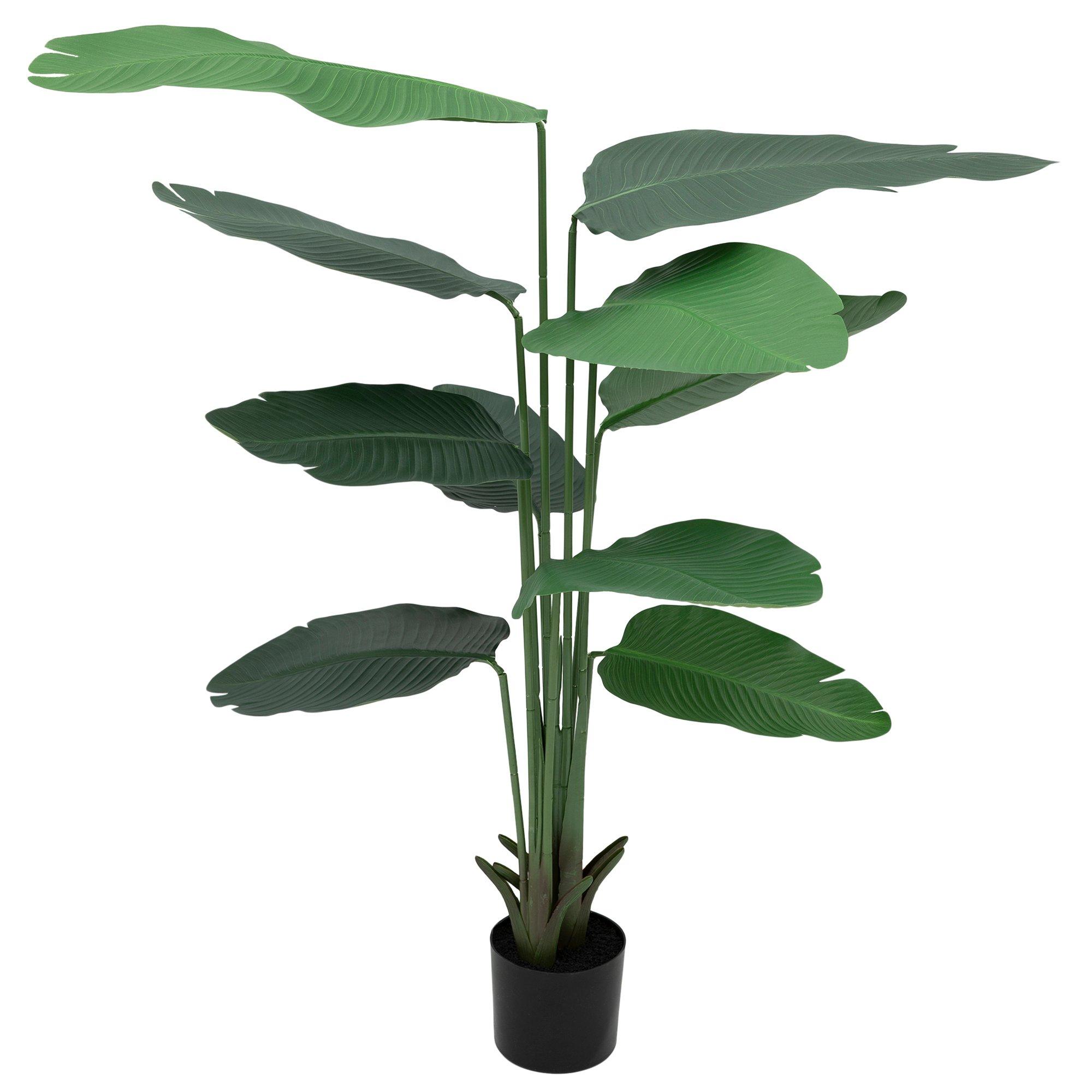 Selected Product Image