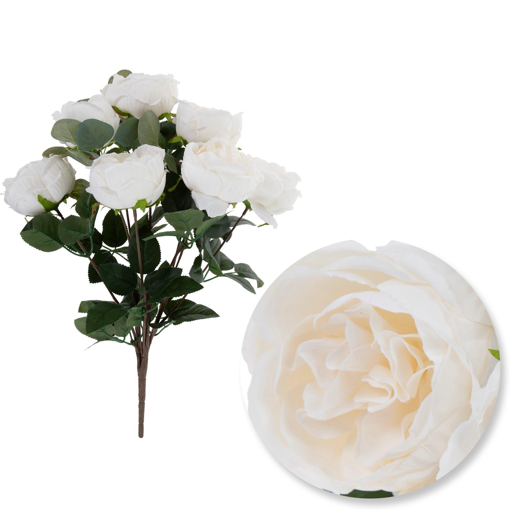 cream white