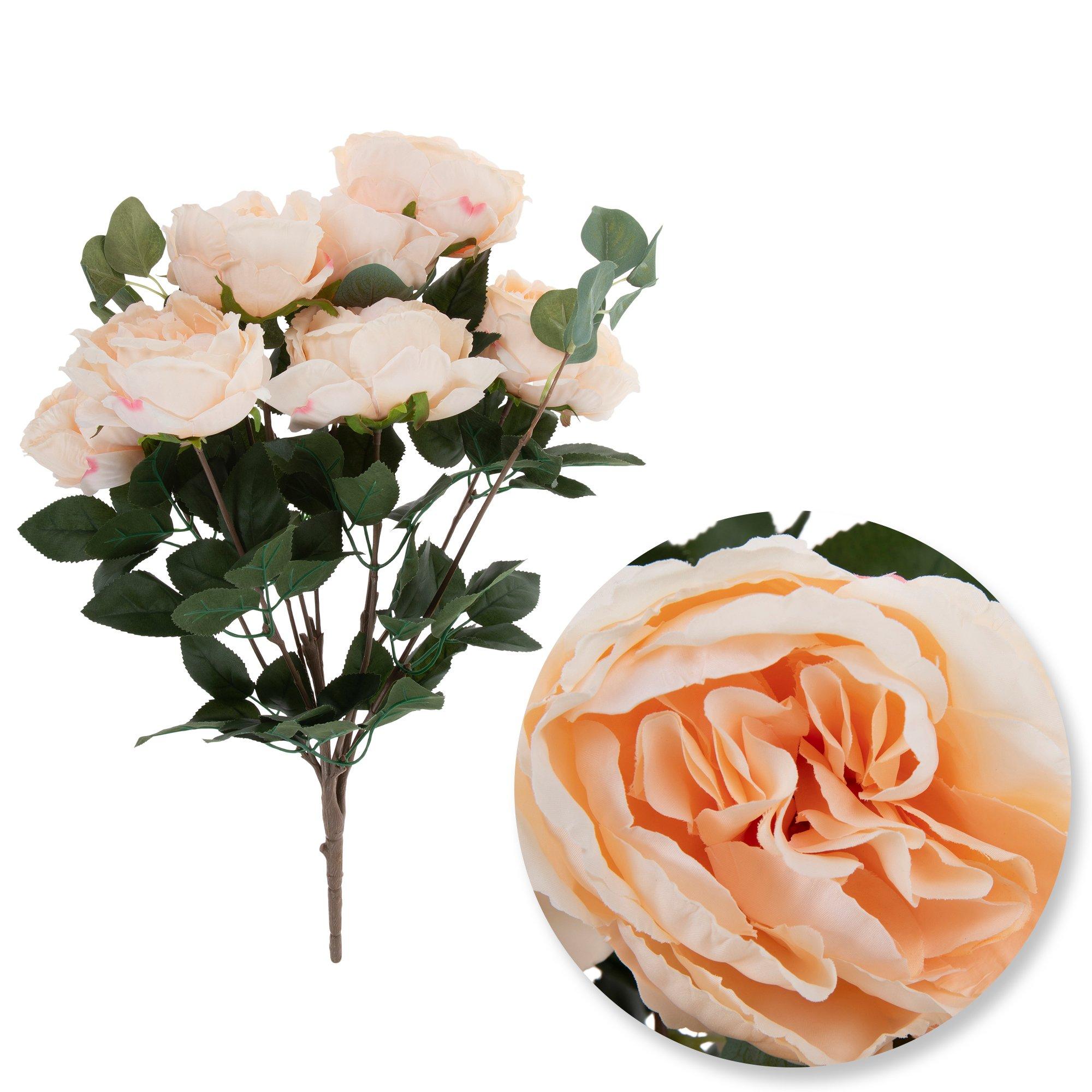 Selected Product Image