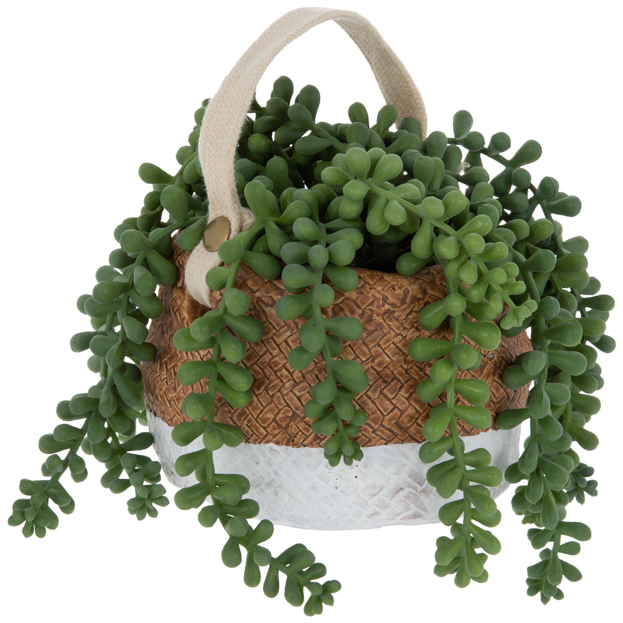 40 in. Donkey Tail String of Pearls Artificial Succulent Hanging Stem Plant Greenery Pick Spray Branch (Set of 2)