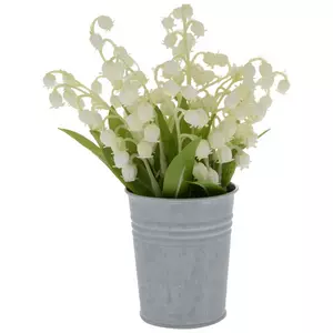 Lily Of The Valley In Metal Pot