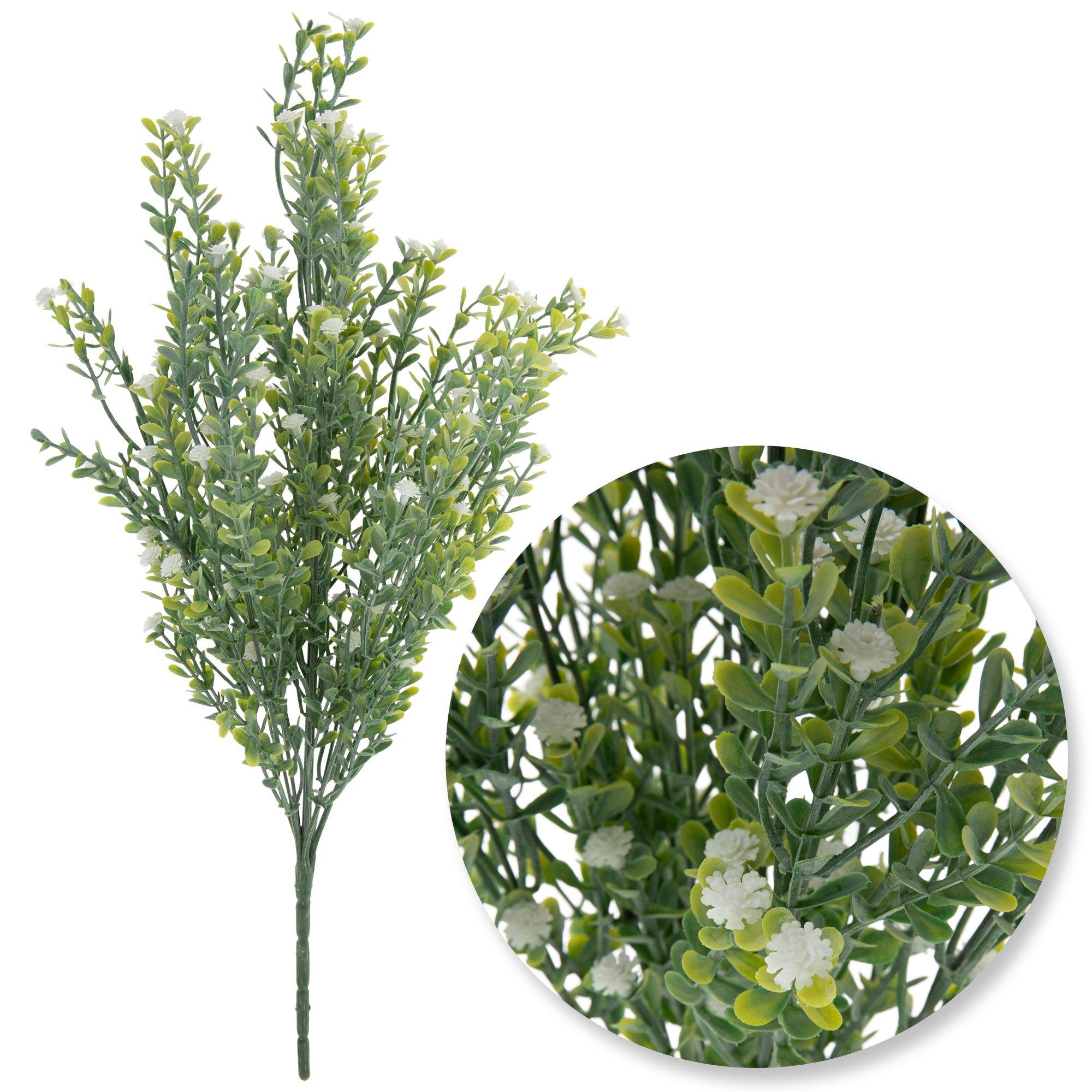 Selected Product Image