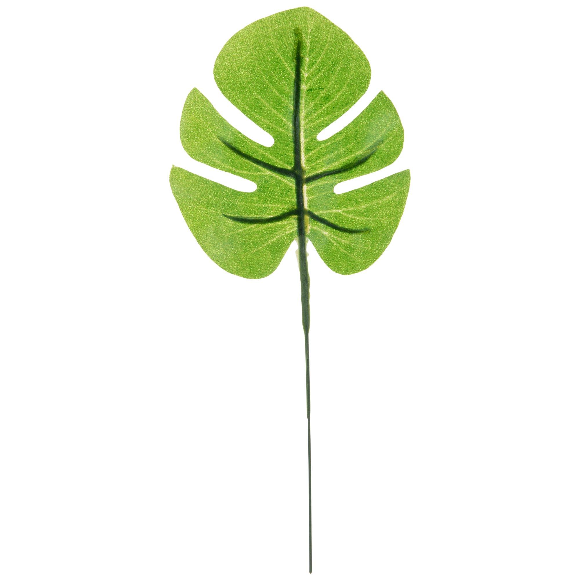 Palm Leaves | Hobby Lobby | 1939214