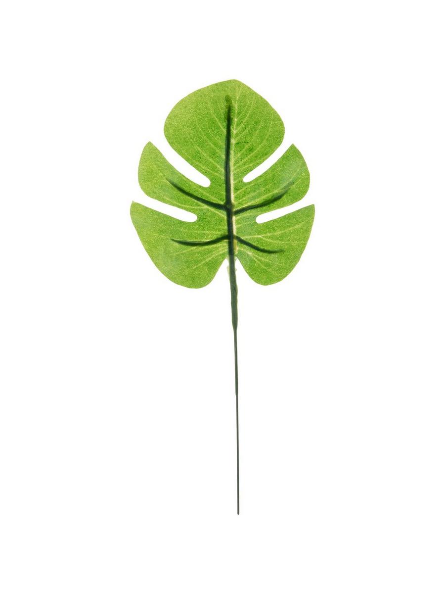 Mini Palm Leaf Picks | Hobby Lobby | 1910553